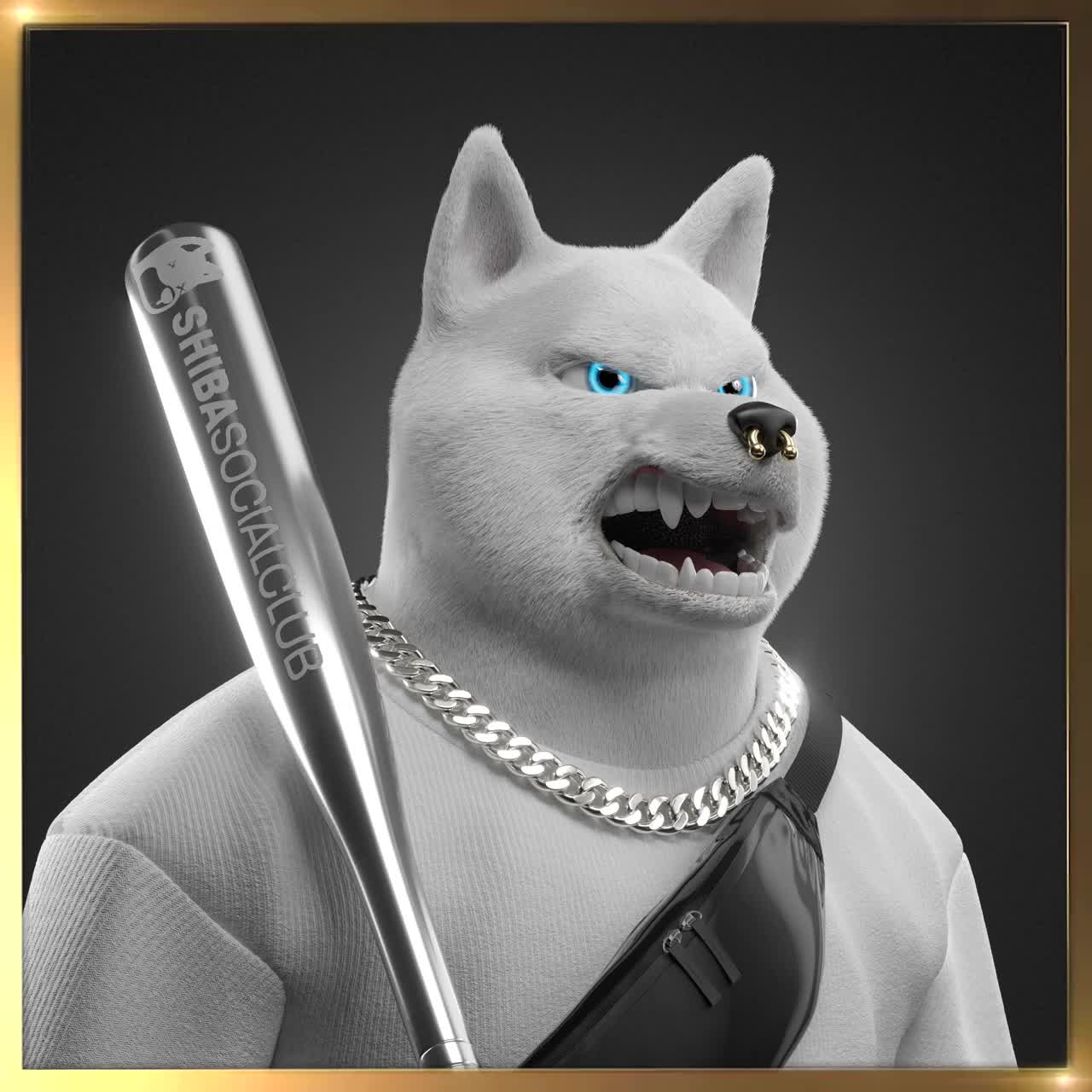Shiba #5340