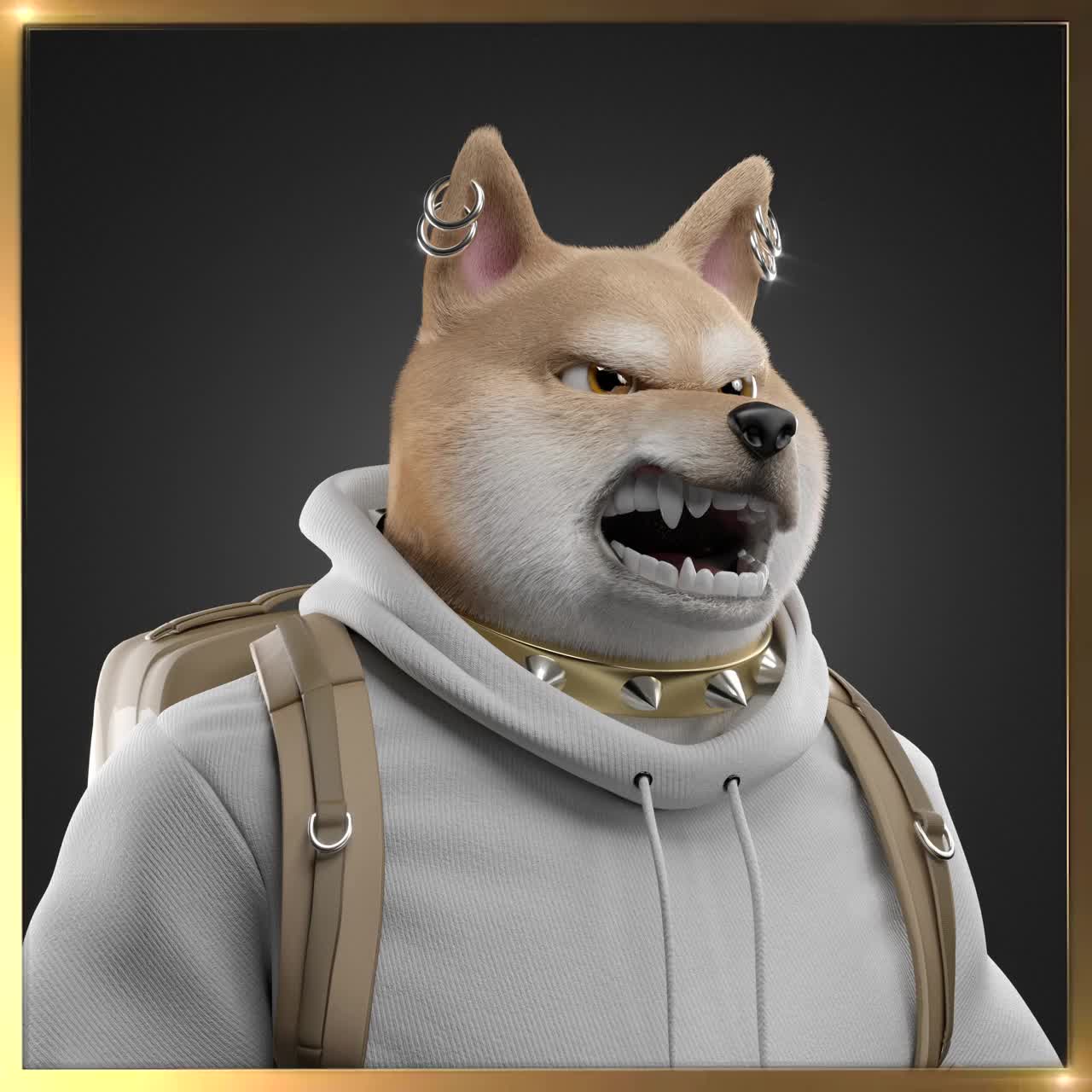 Shiba #5348