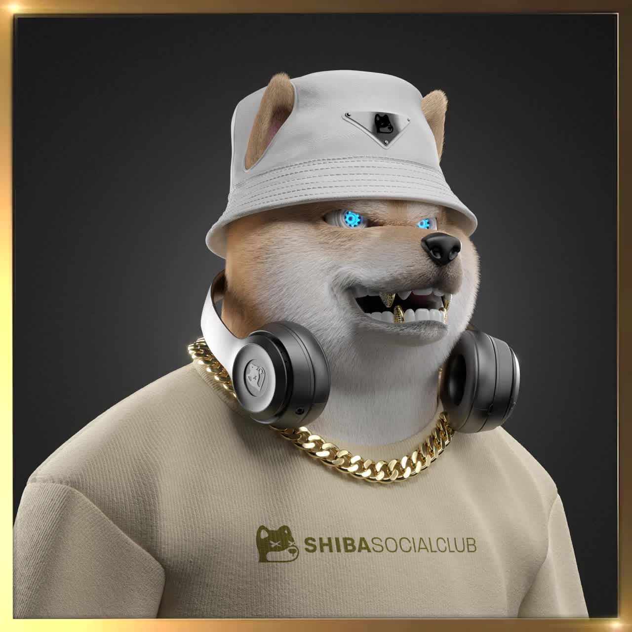 Shiba #5353
