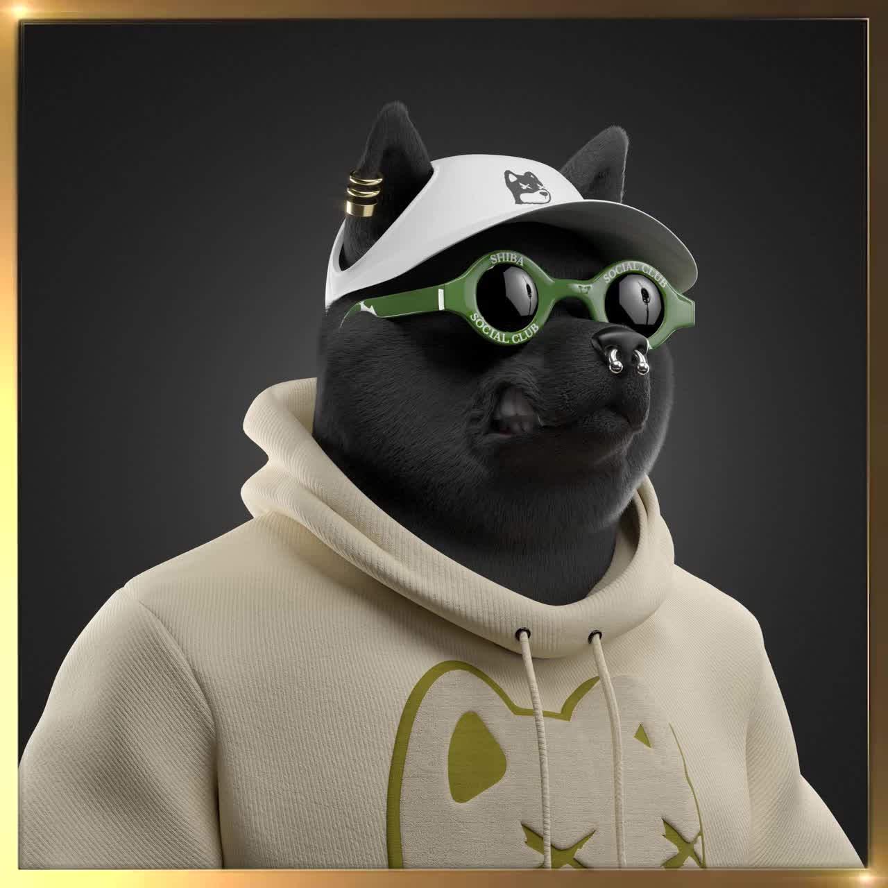 Shiba #5381