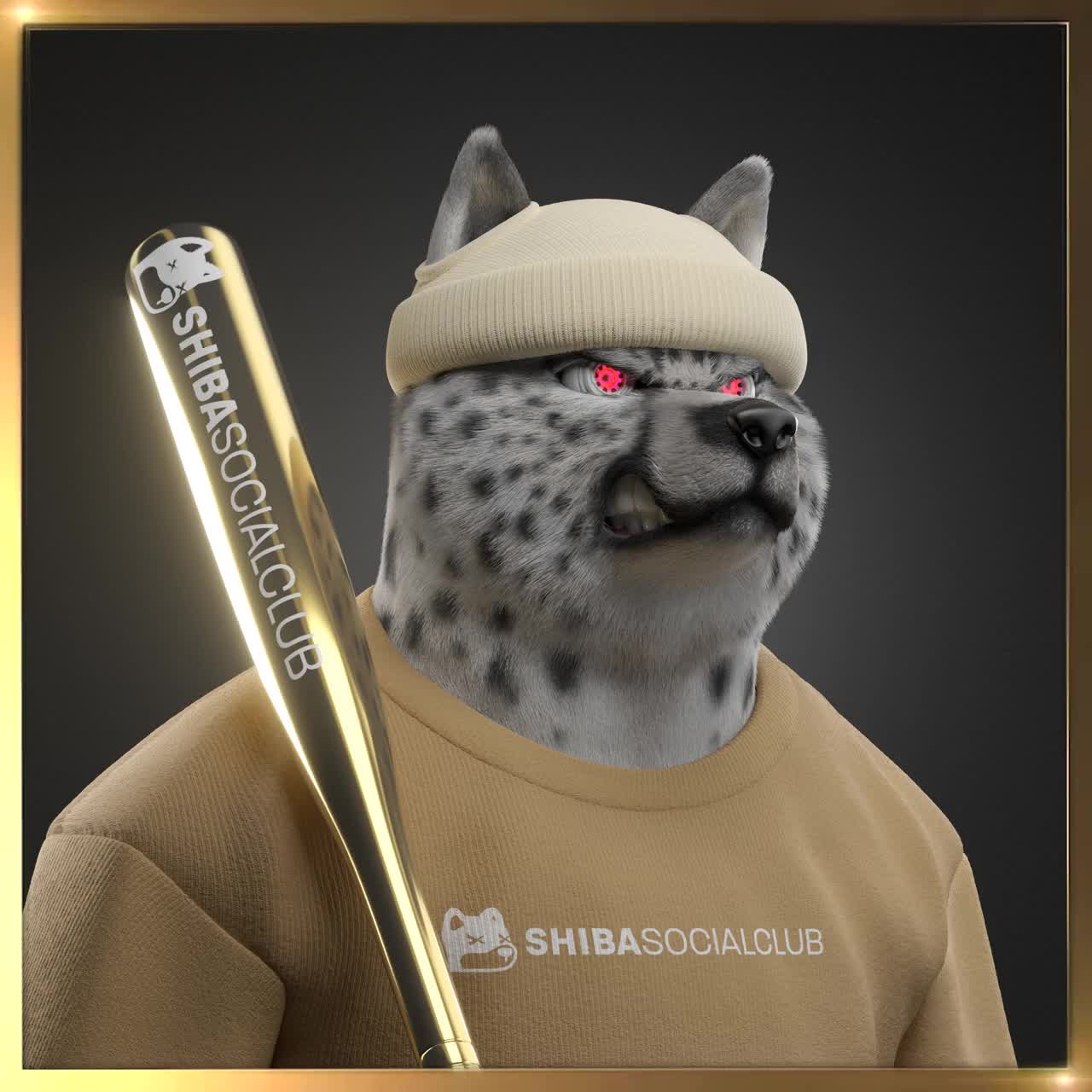 Shiba #5401