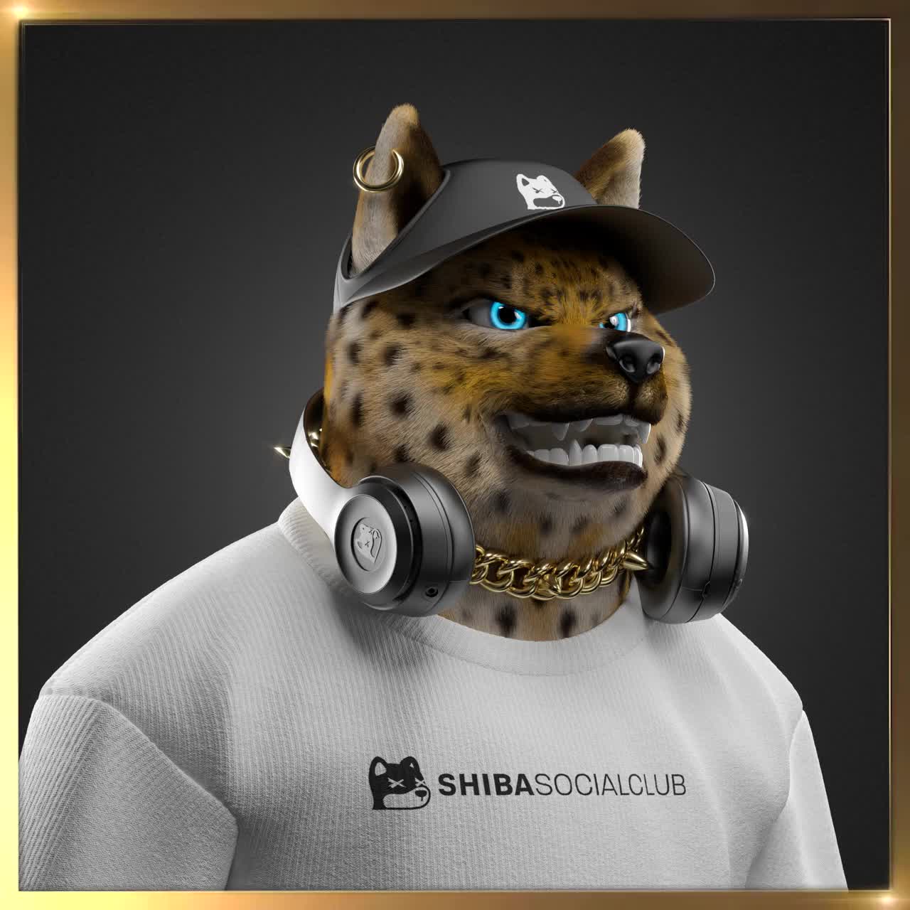 Shiba #5422