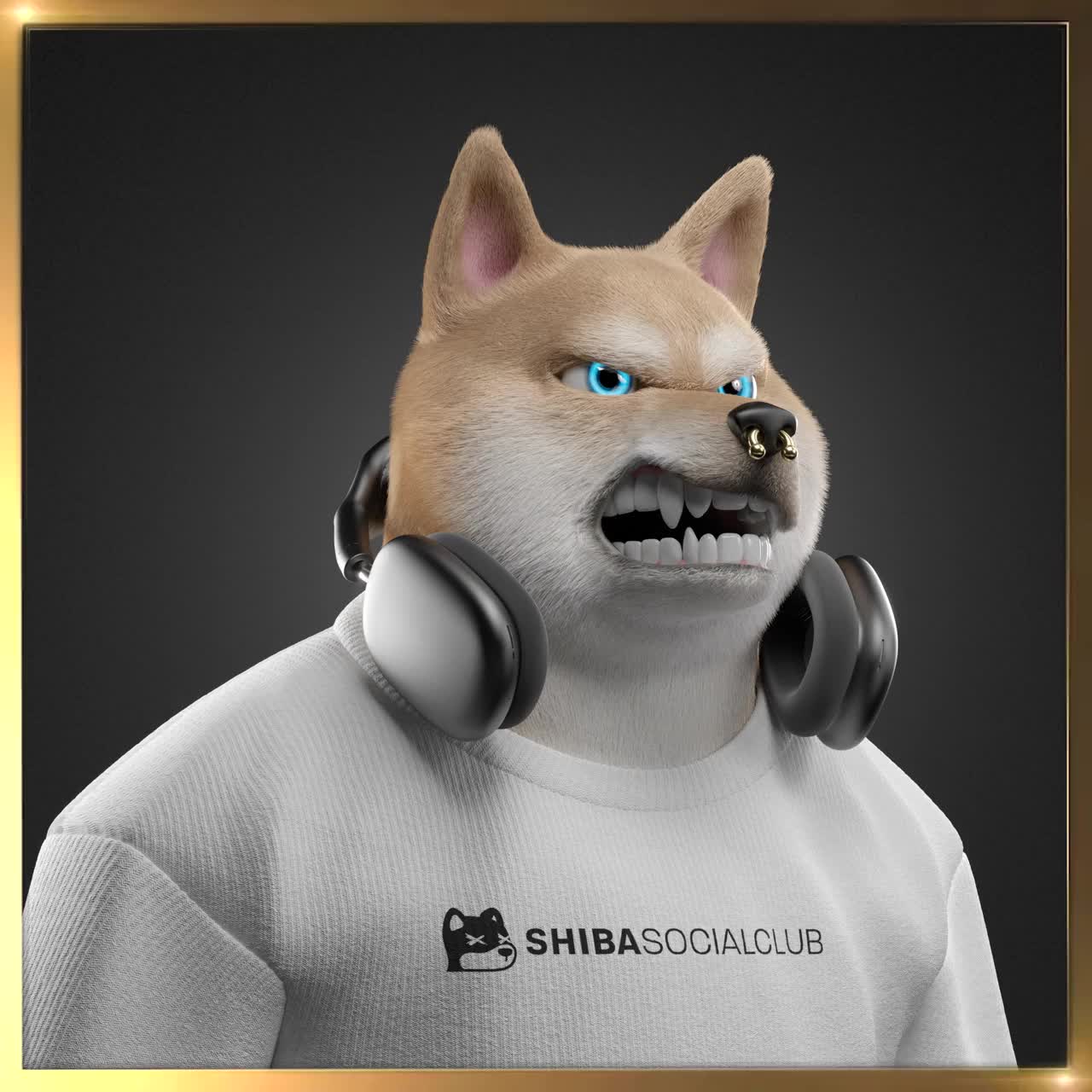 Shiba #5424