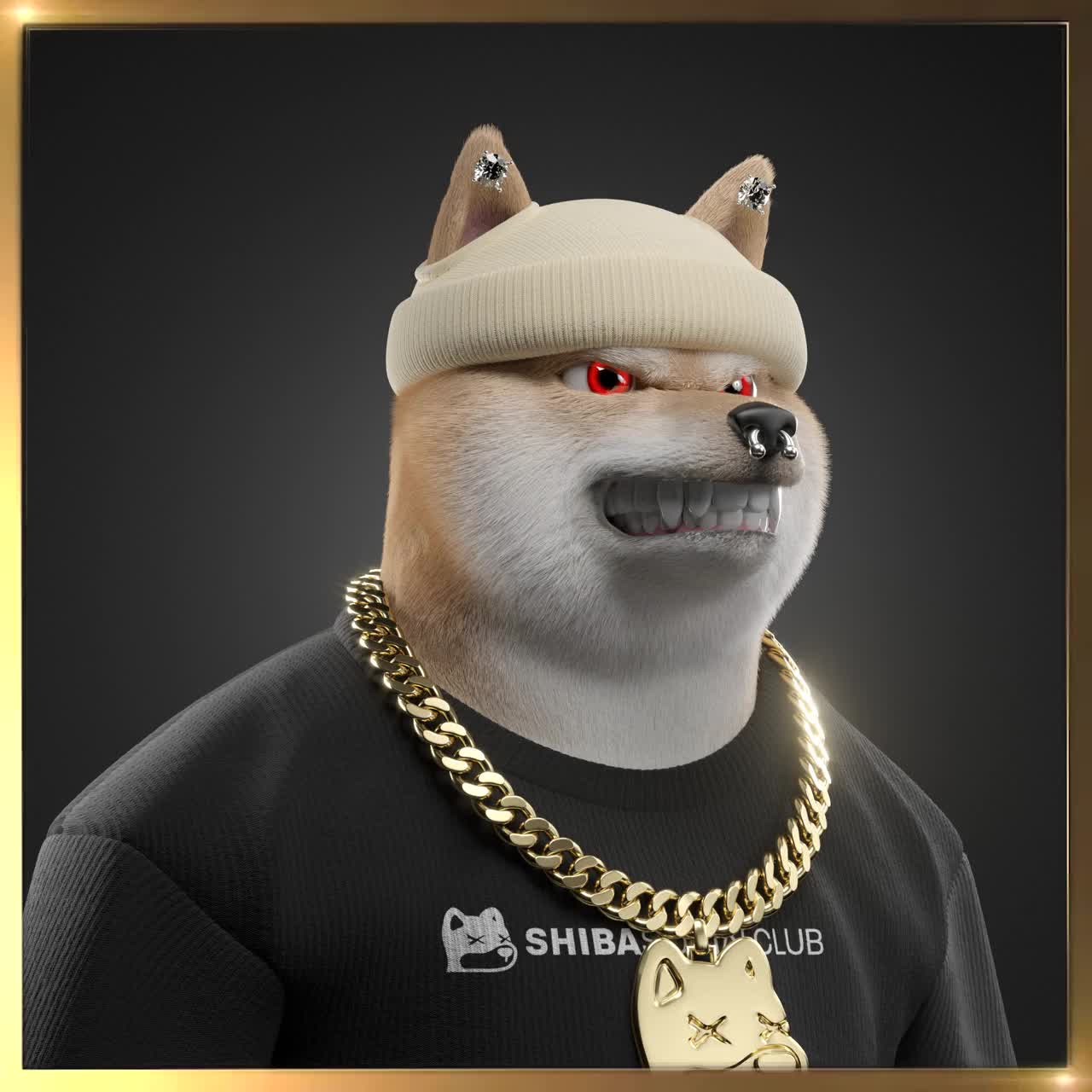 Shiba #5504