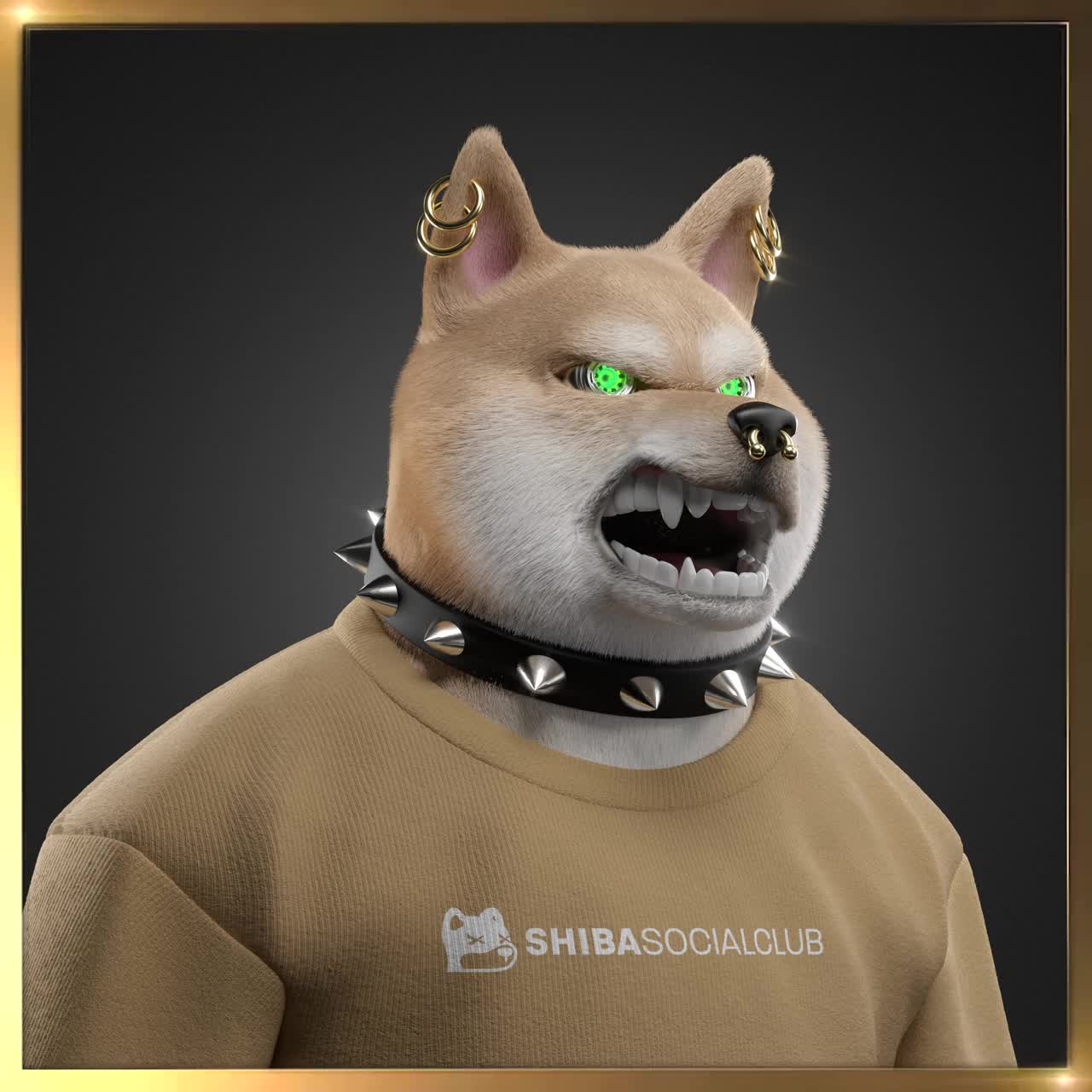 Shiba #5510