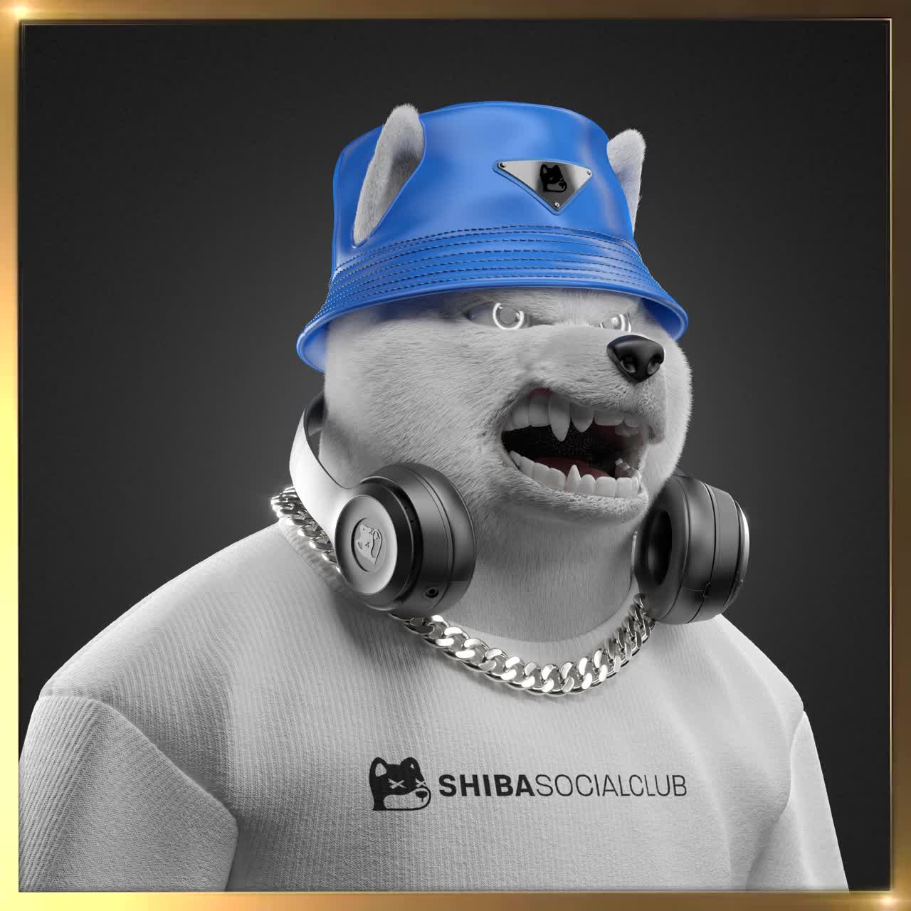 Shiba #5529