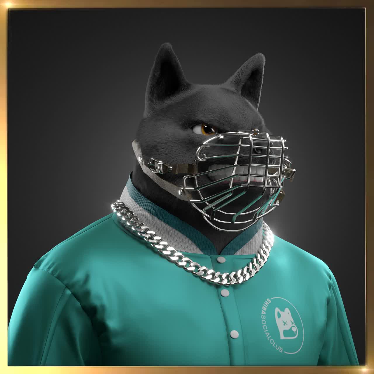 Shiba #5538