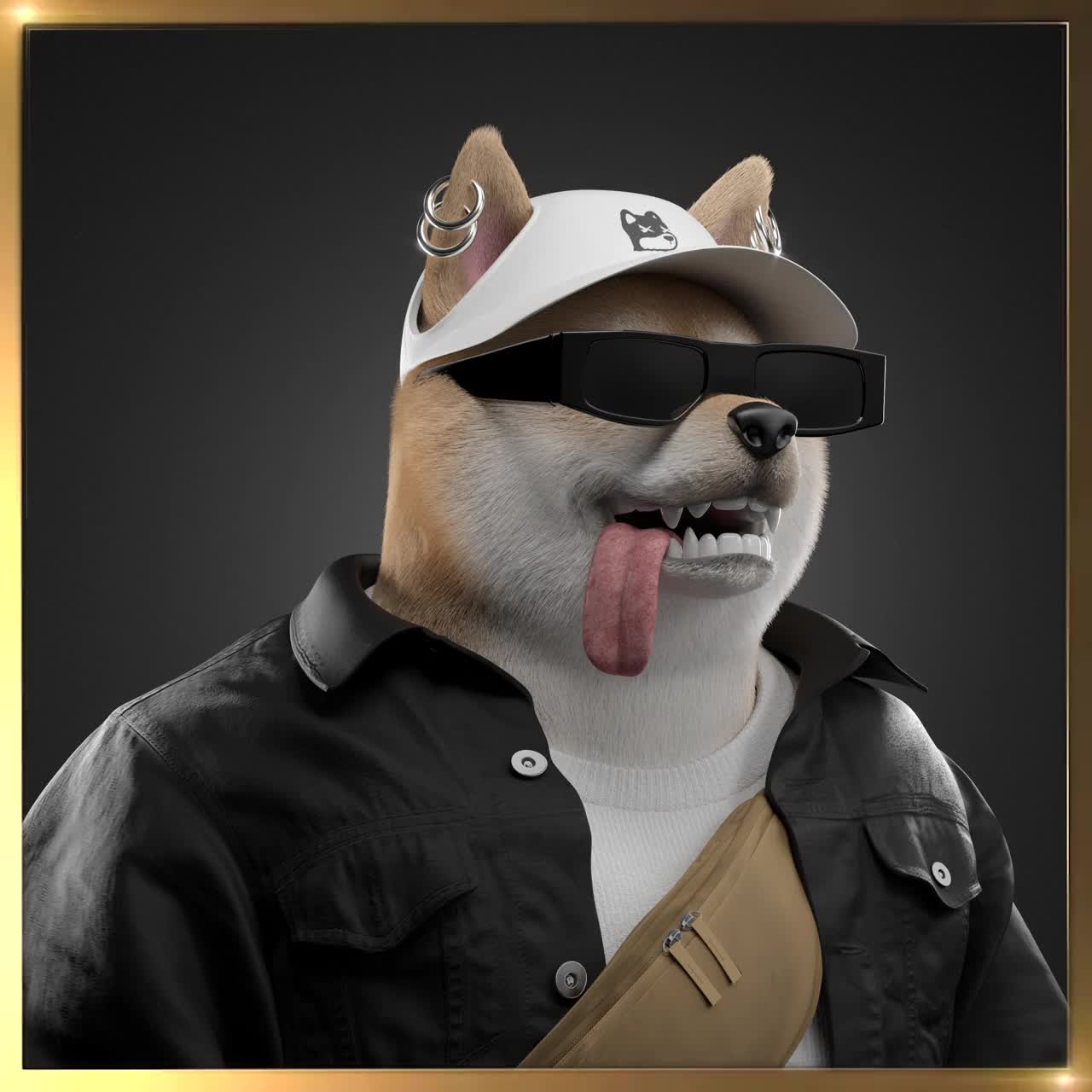 Shiba #5563