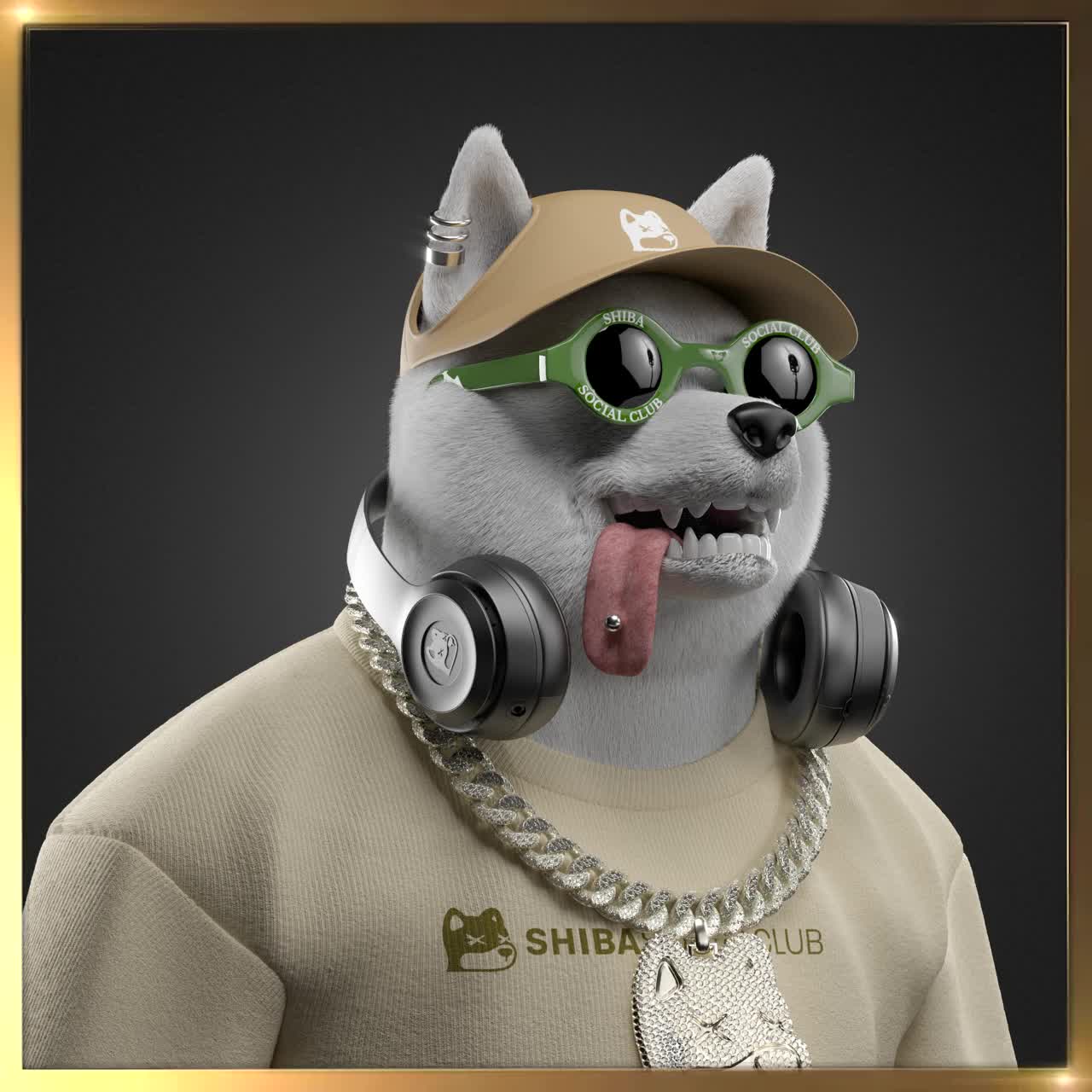 Shiba #5565