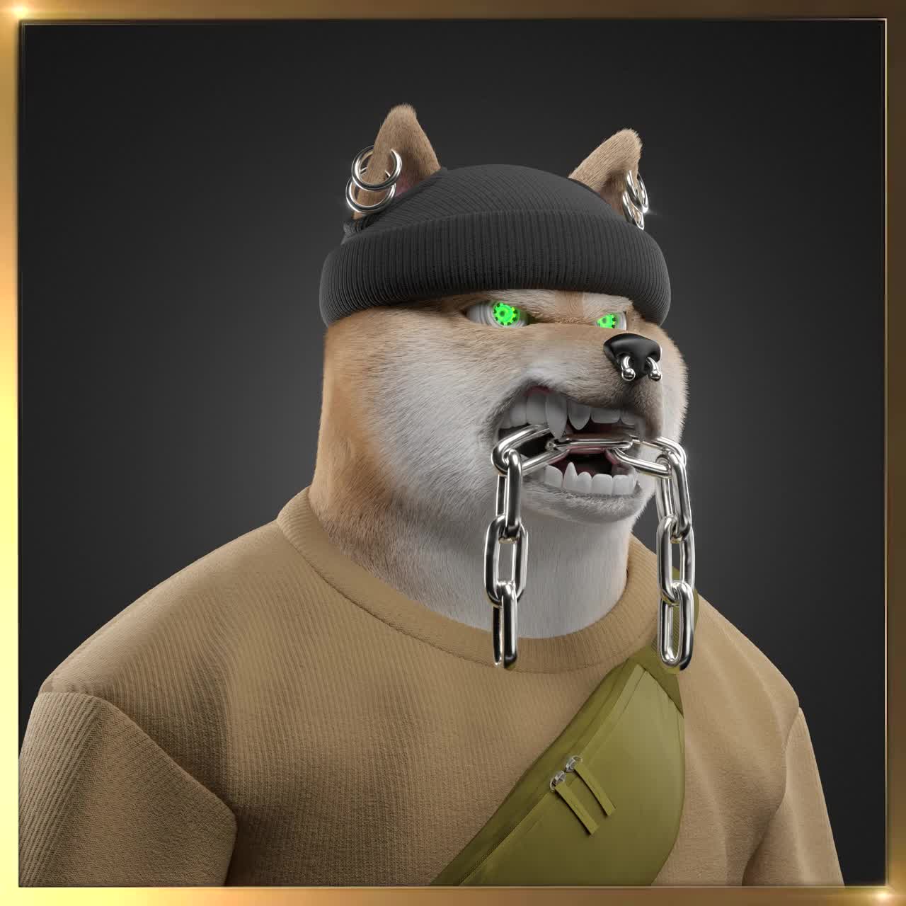 Shiba #5572