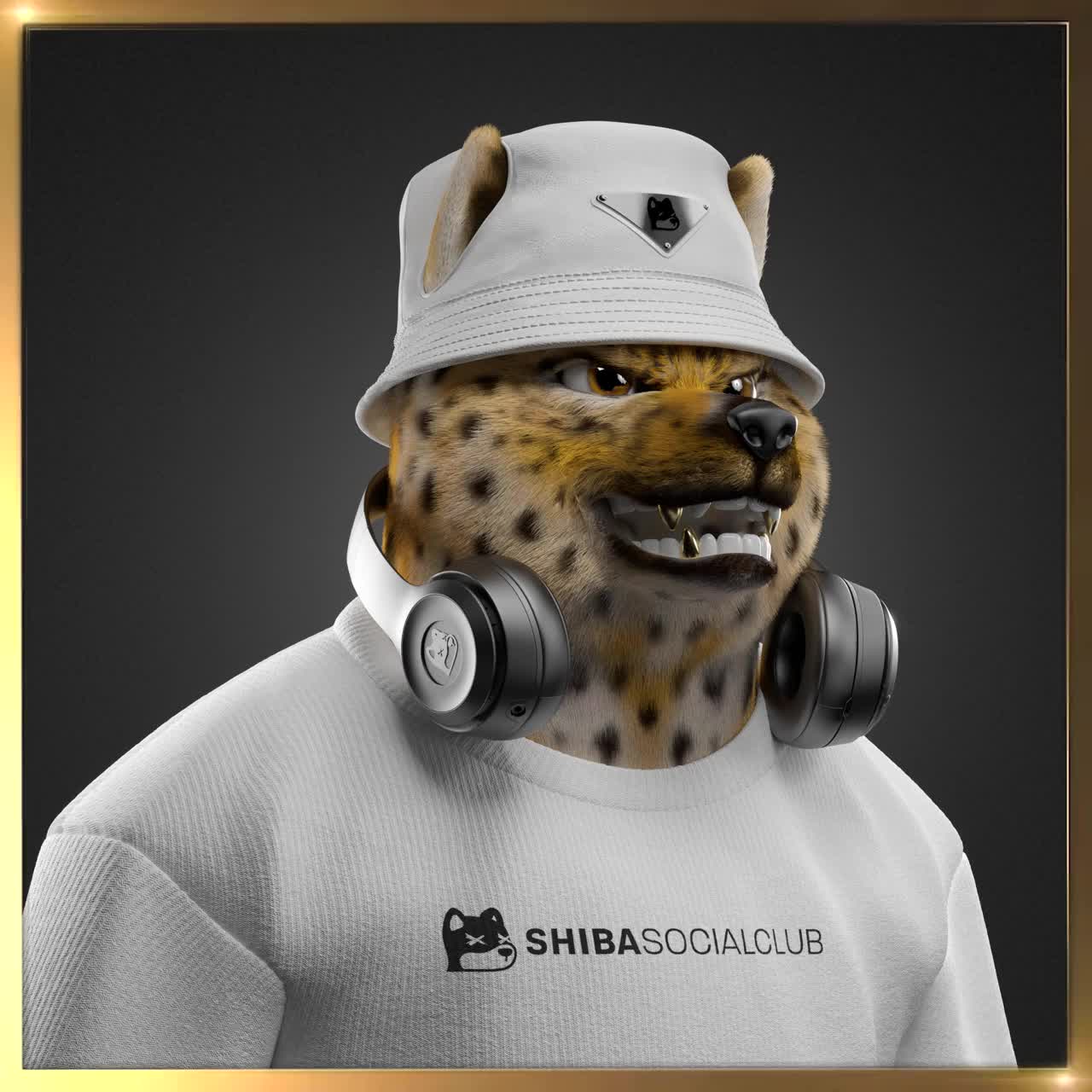 Shiba #5606