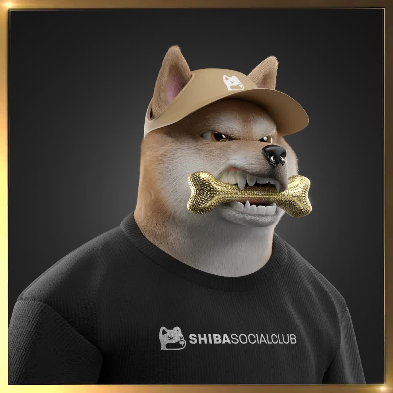 Shiba #5619