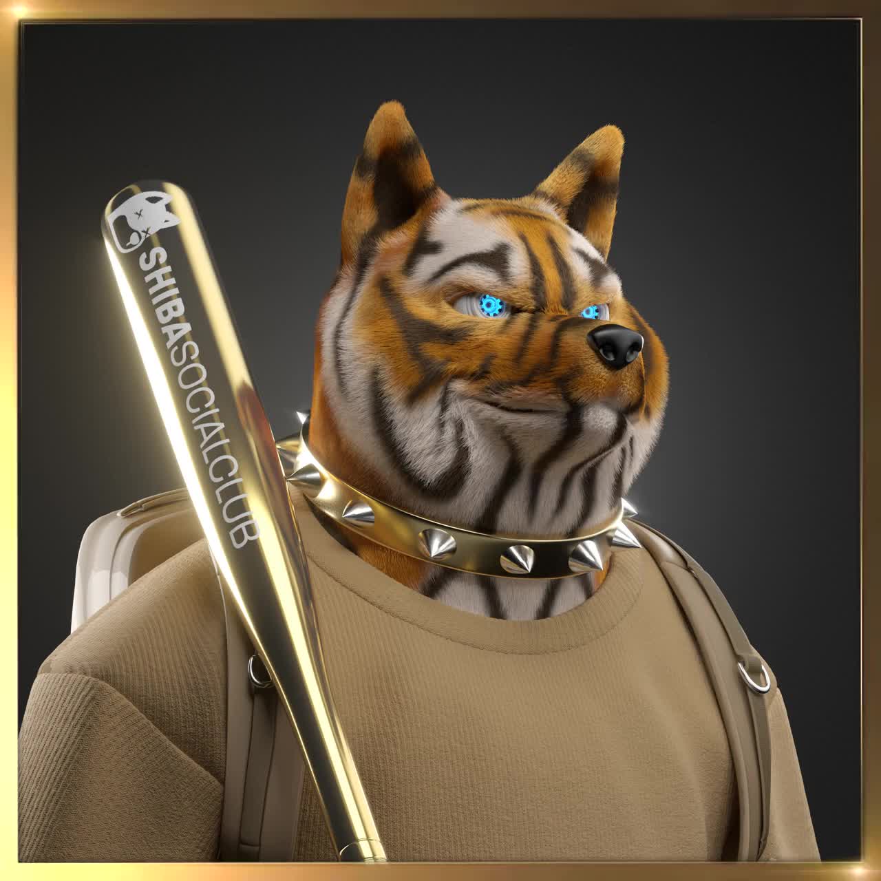 Shiba #5670