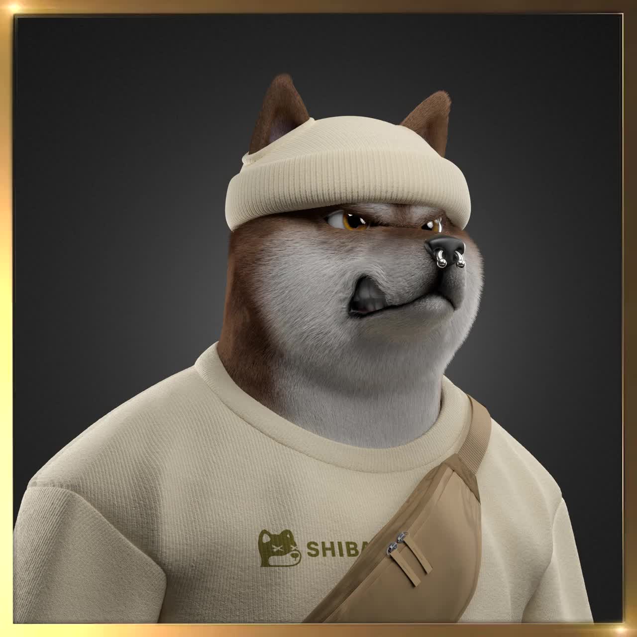 Shiba #5671