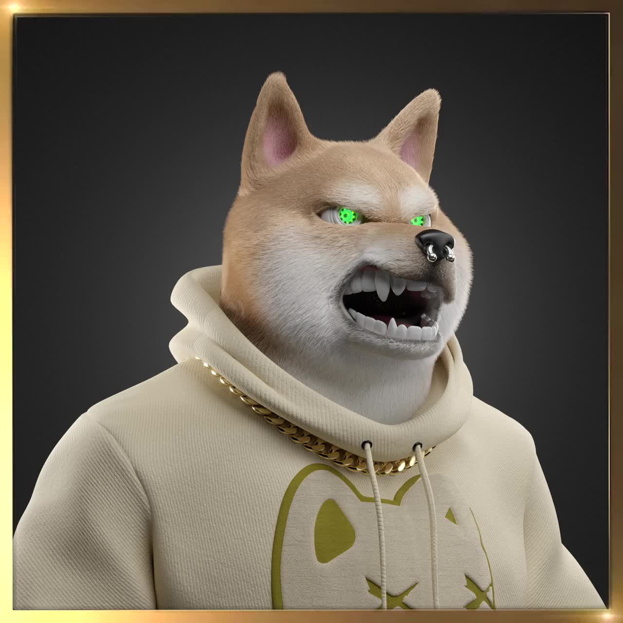 Shiba #5678