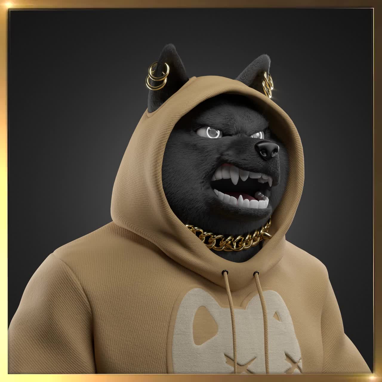 Shiba #5679