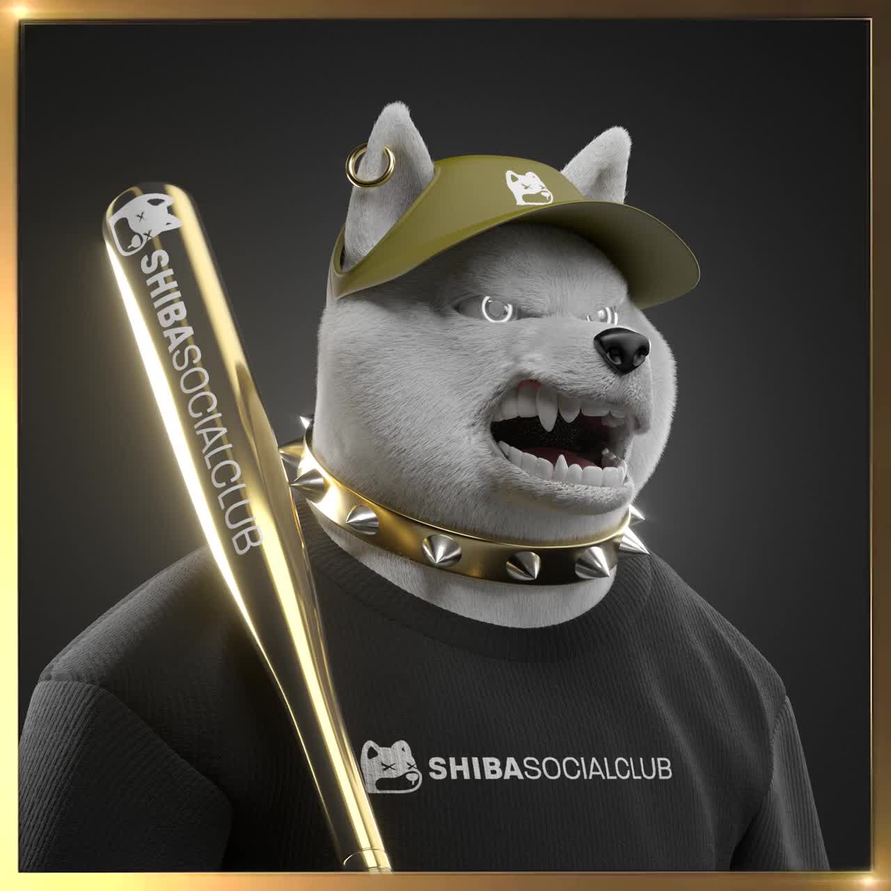 Shiba #5728