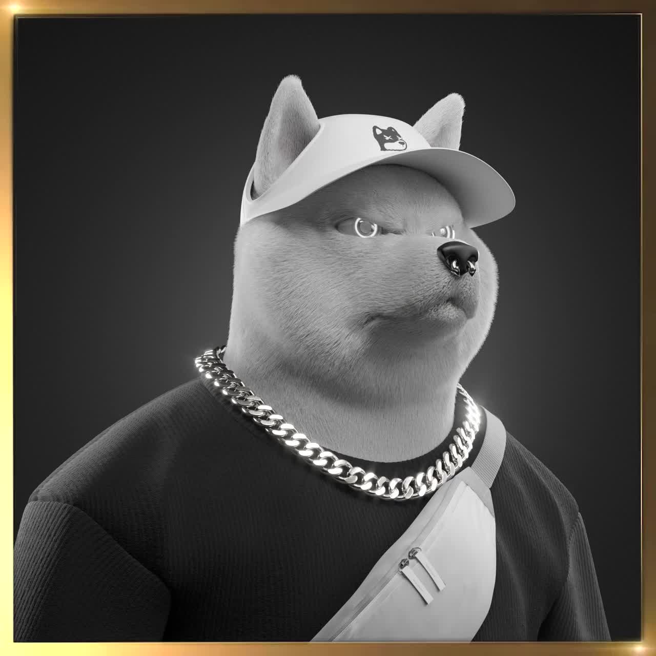 Shiba #5743