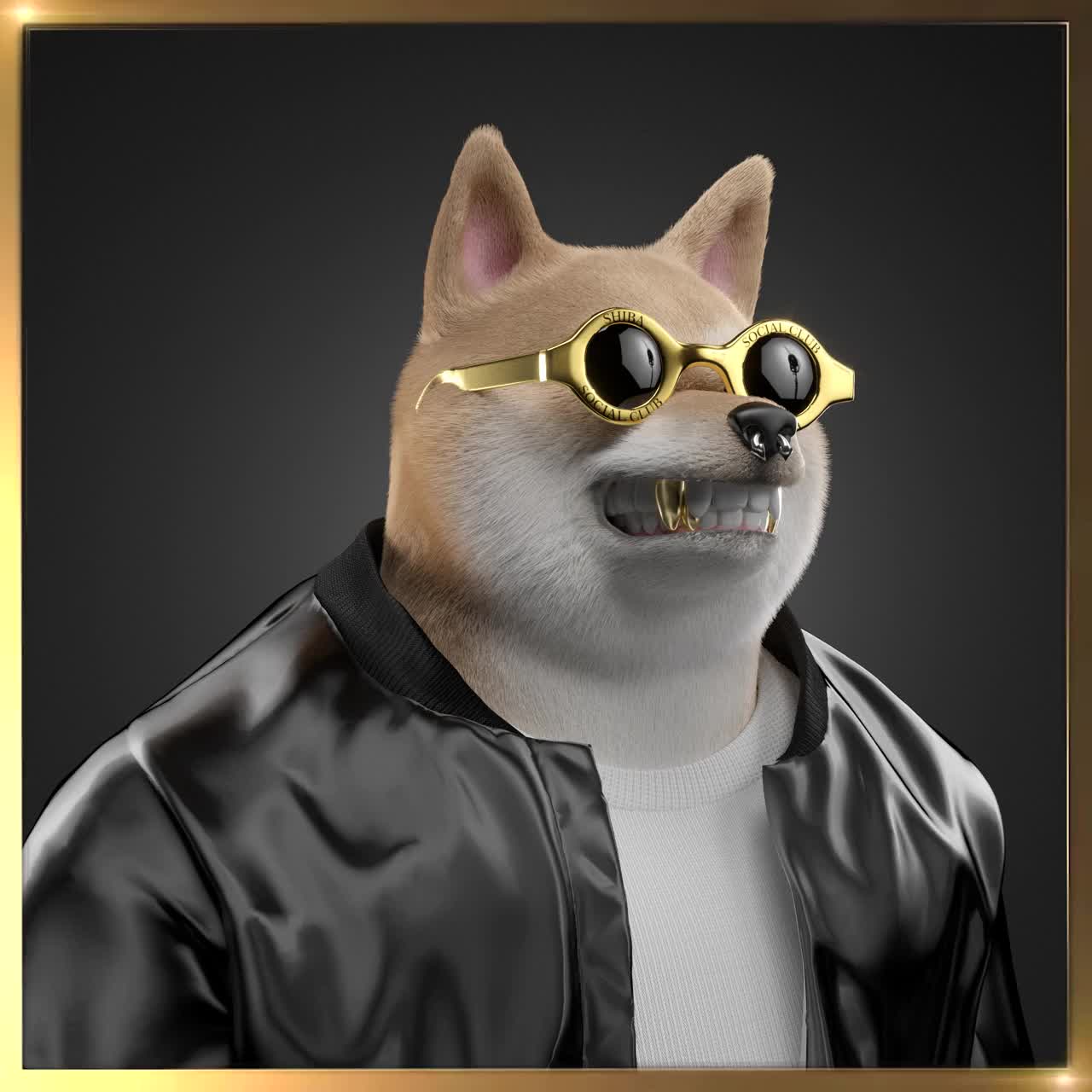 Shiba #5744