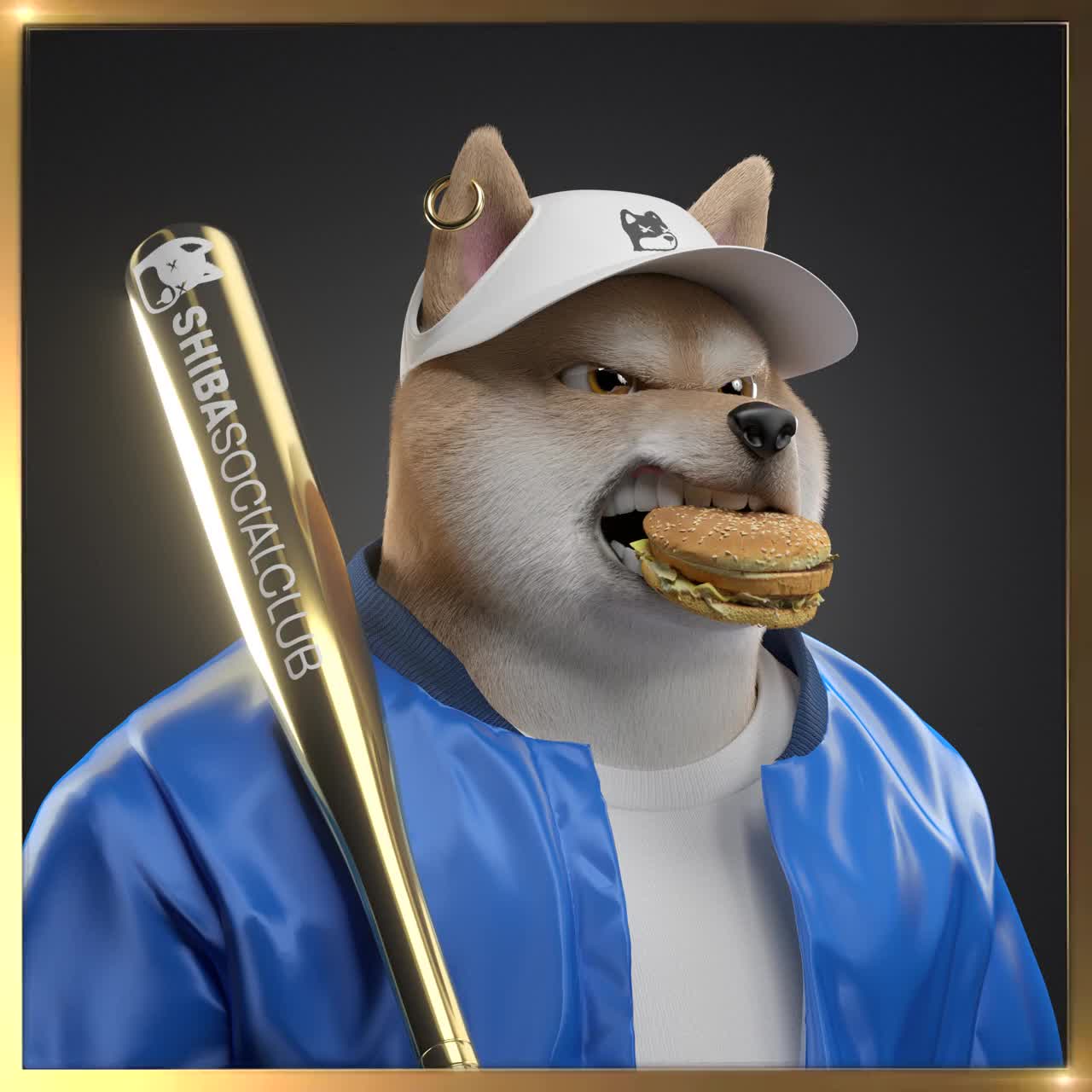 Shiba #5772