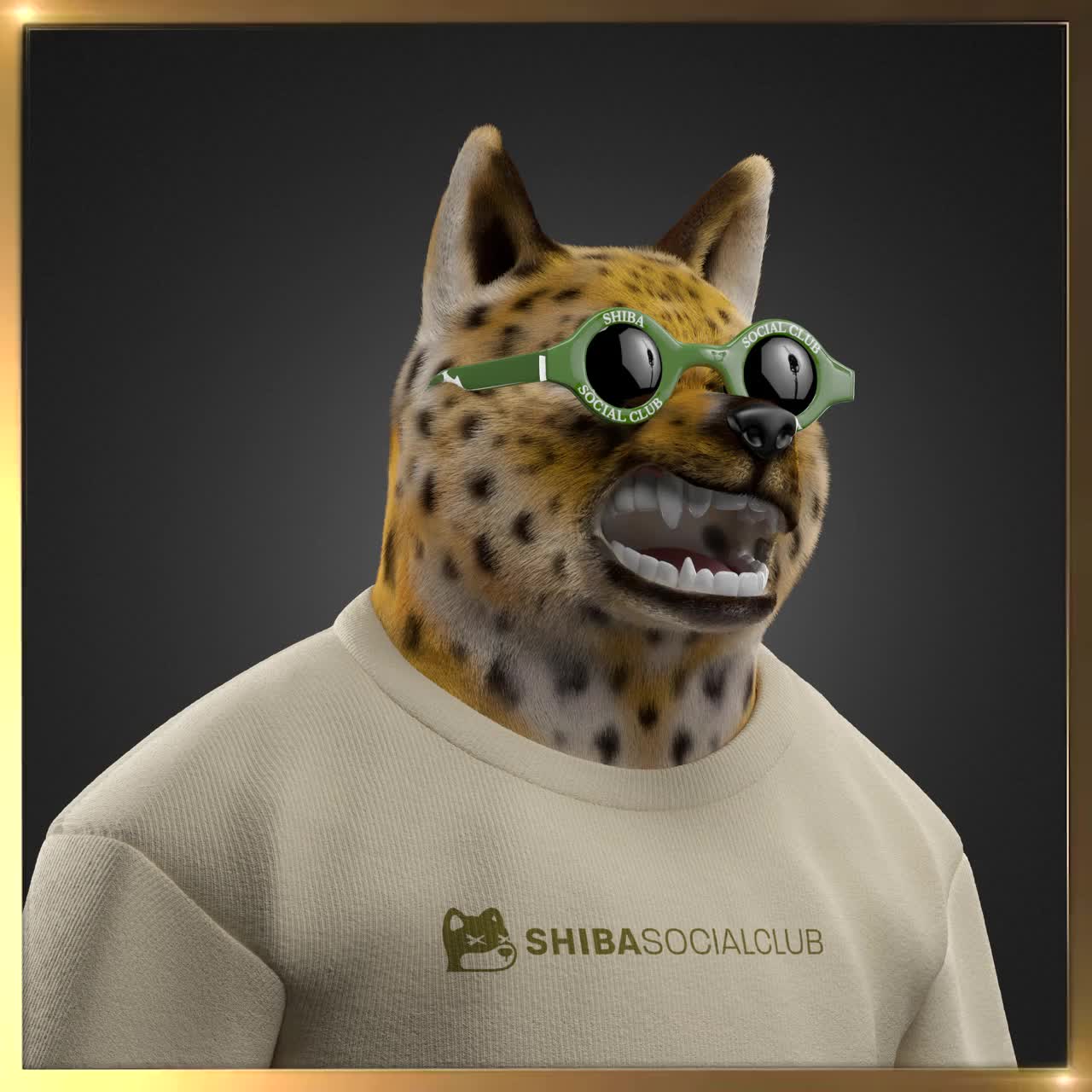Shiba #5773