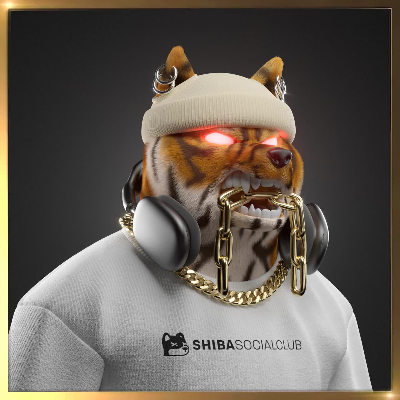 Shiba #5804