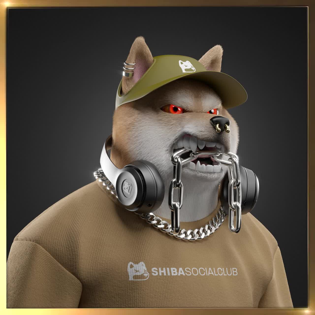 Shiba #5808