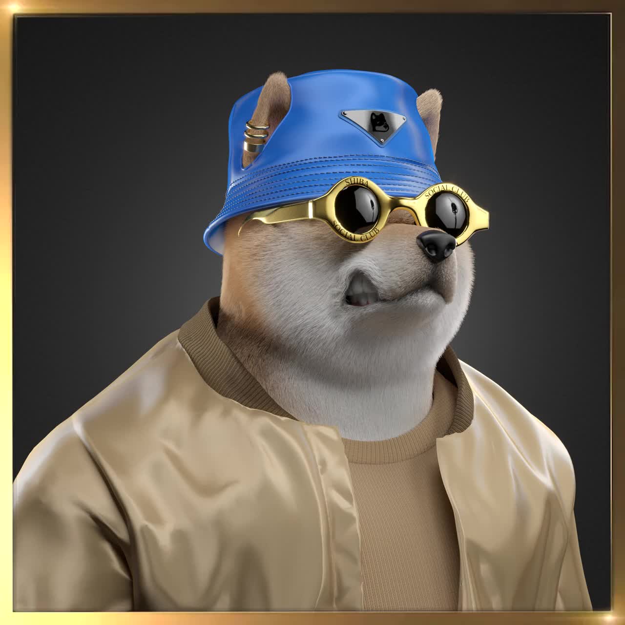 Shiba #5833