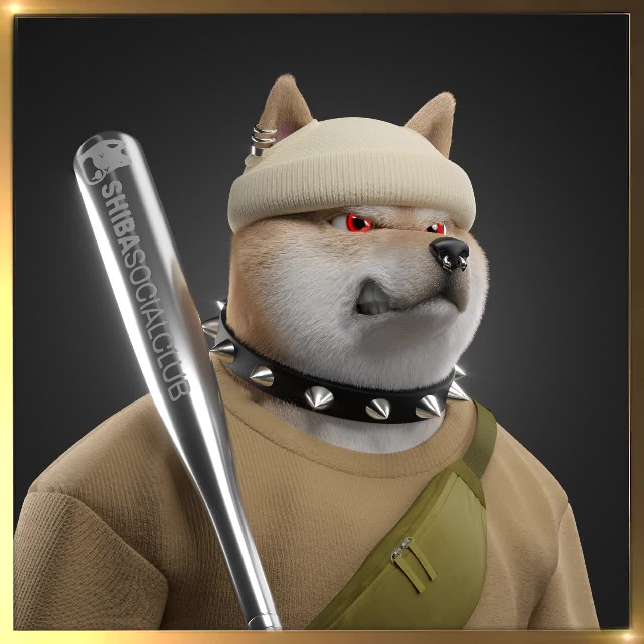 Shiba #5840