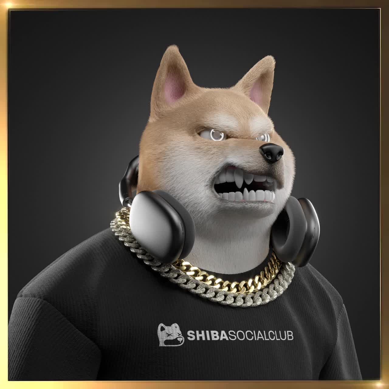 Shiba #5890