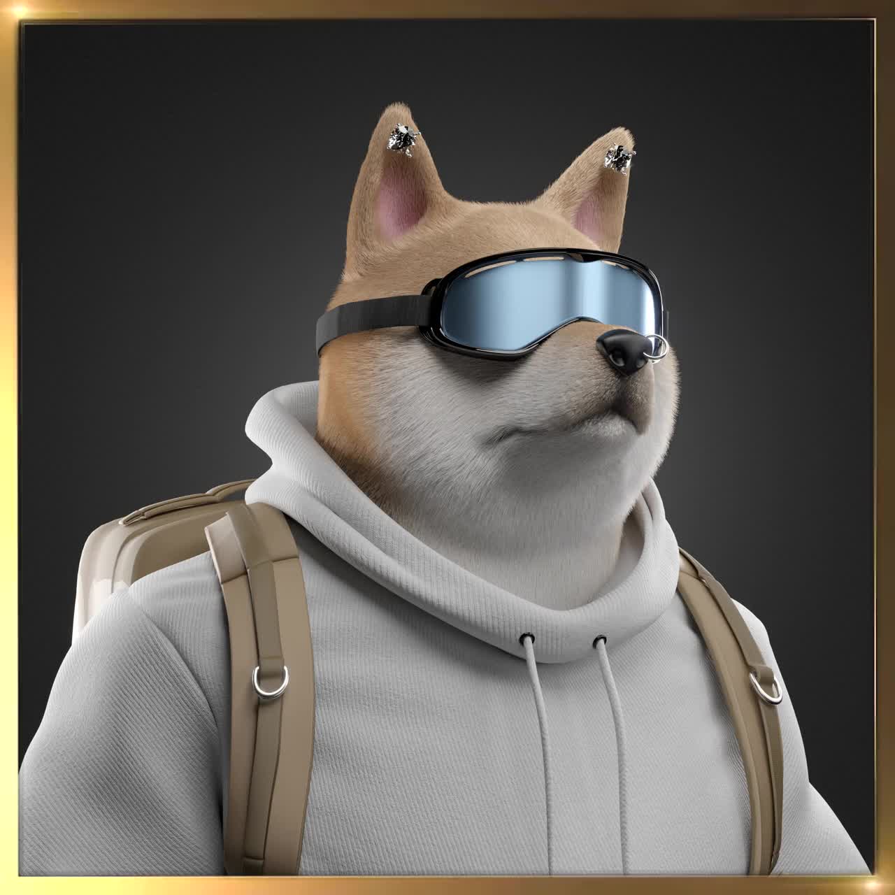 Shiba #5962
