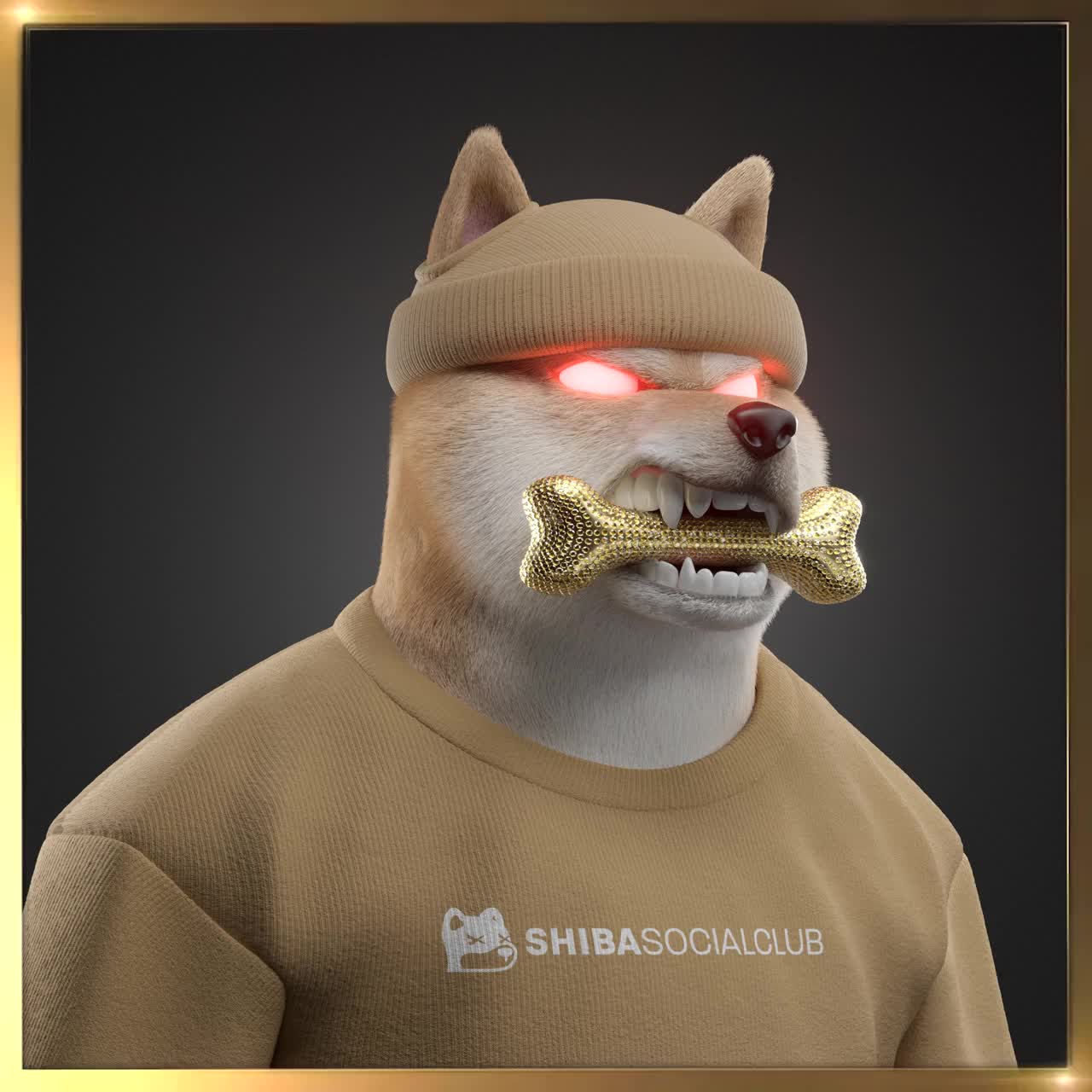 Shiba #5969