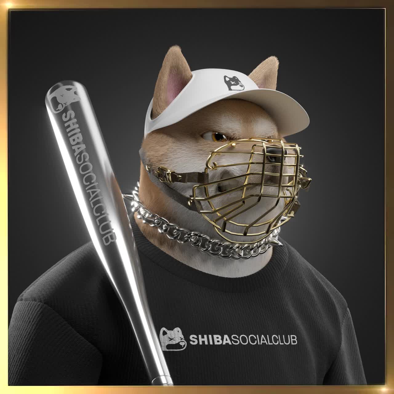 Shiba #5999