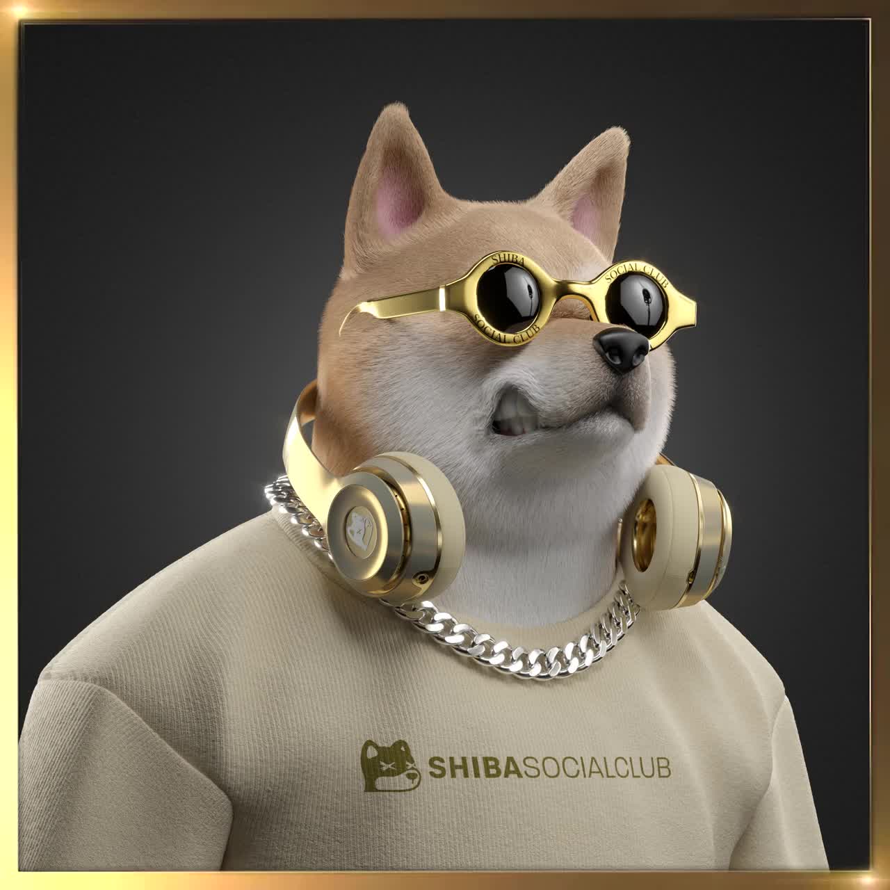 Shiba #6017