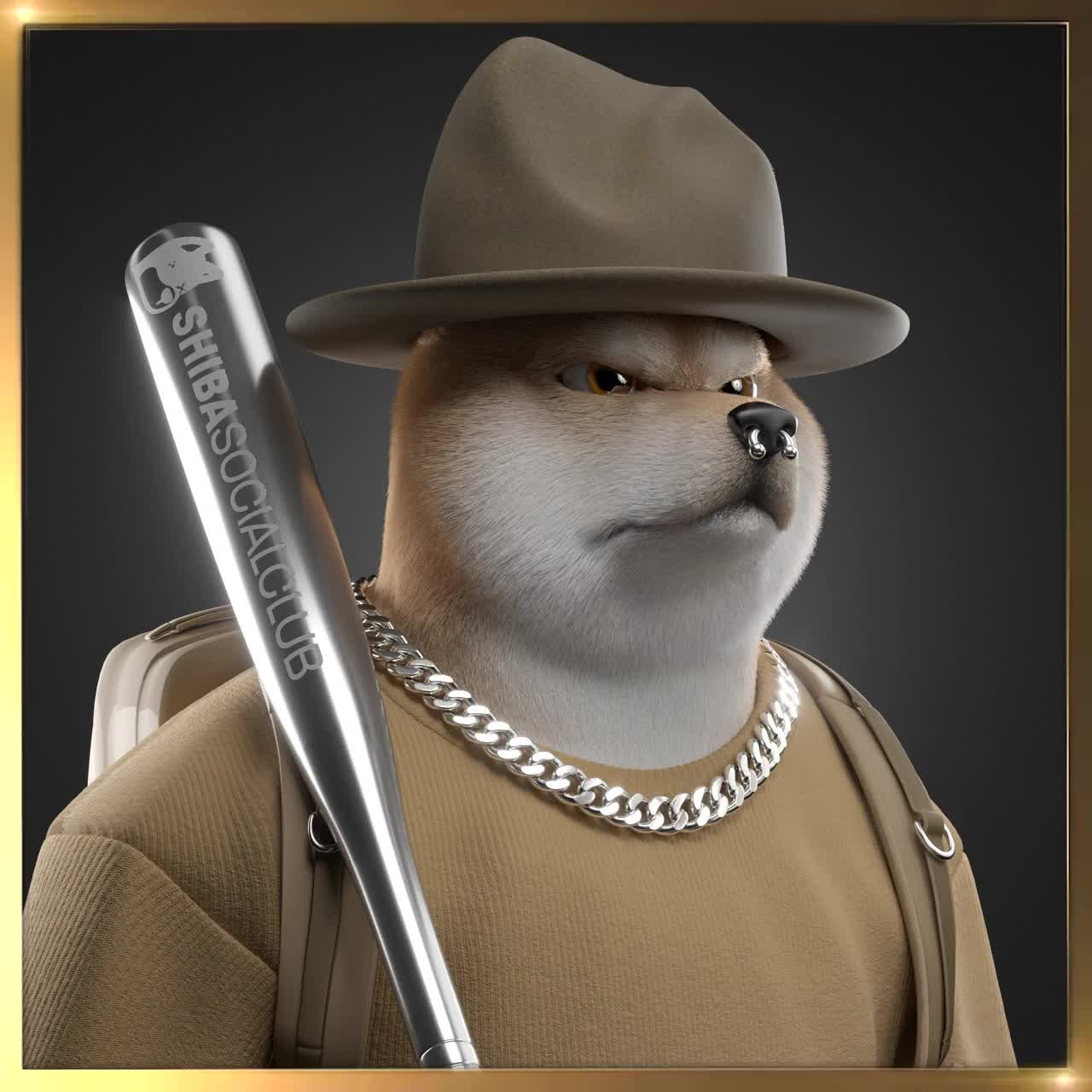 Shiba #6052