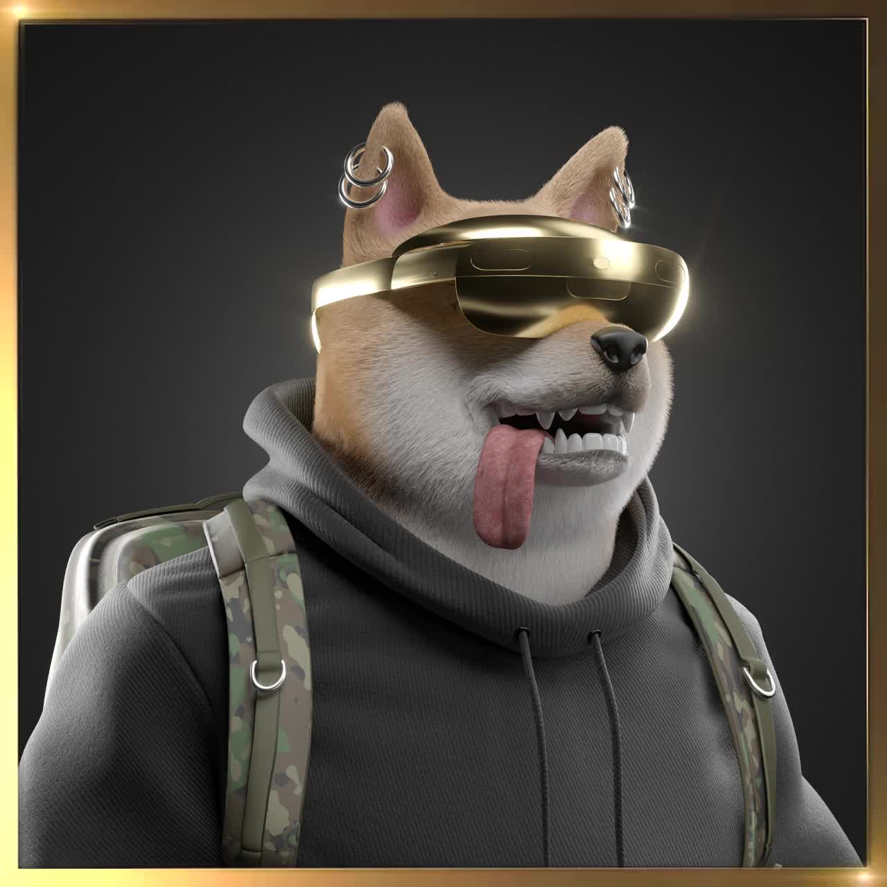 Shiba #6065