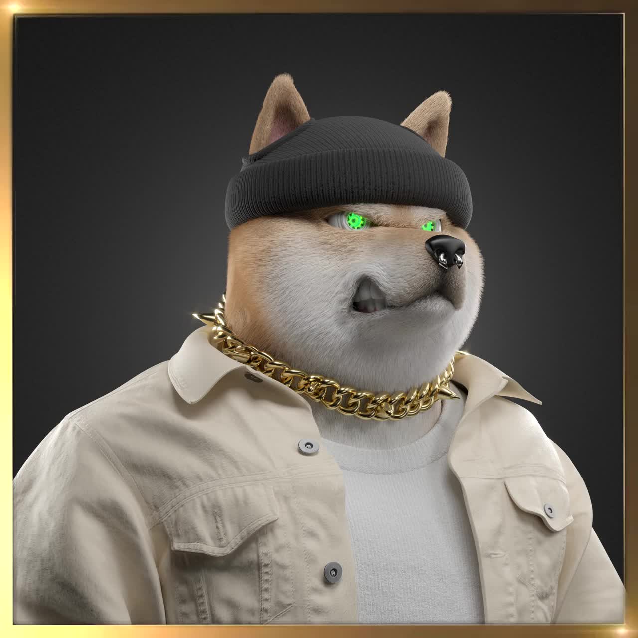Shiba #6071