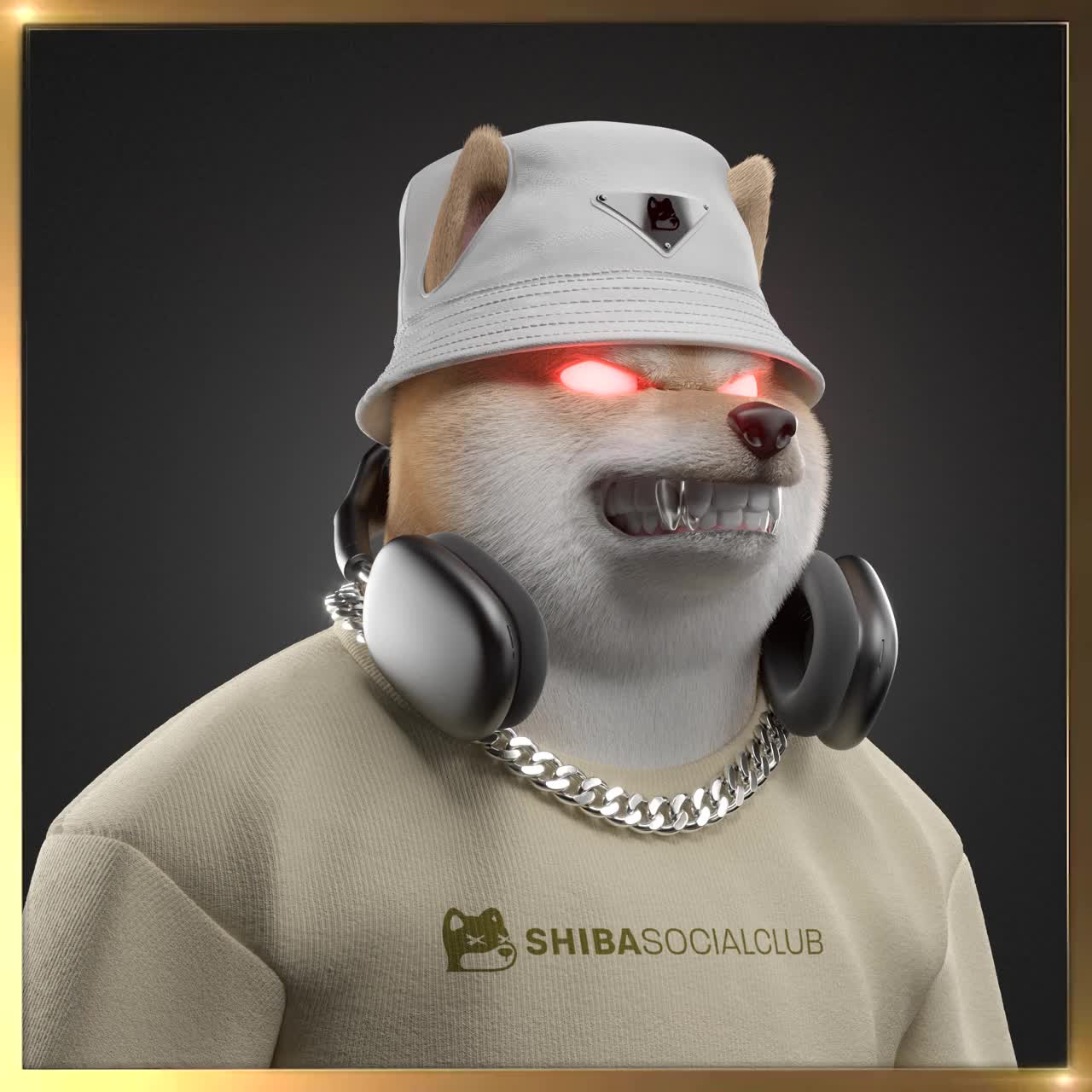 Shiba #6077