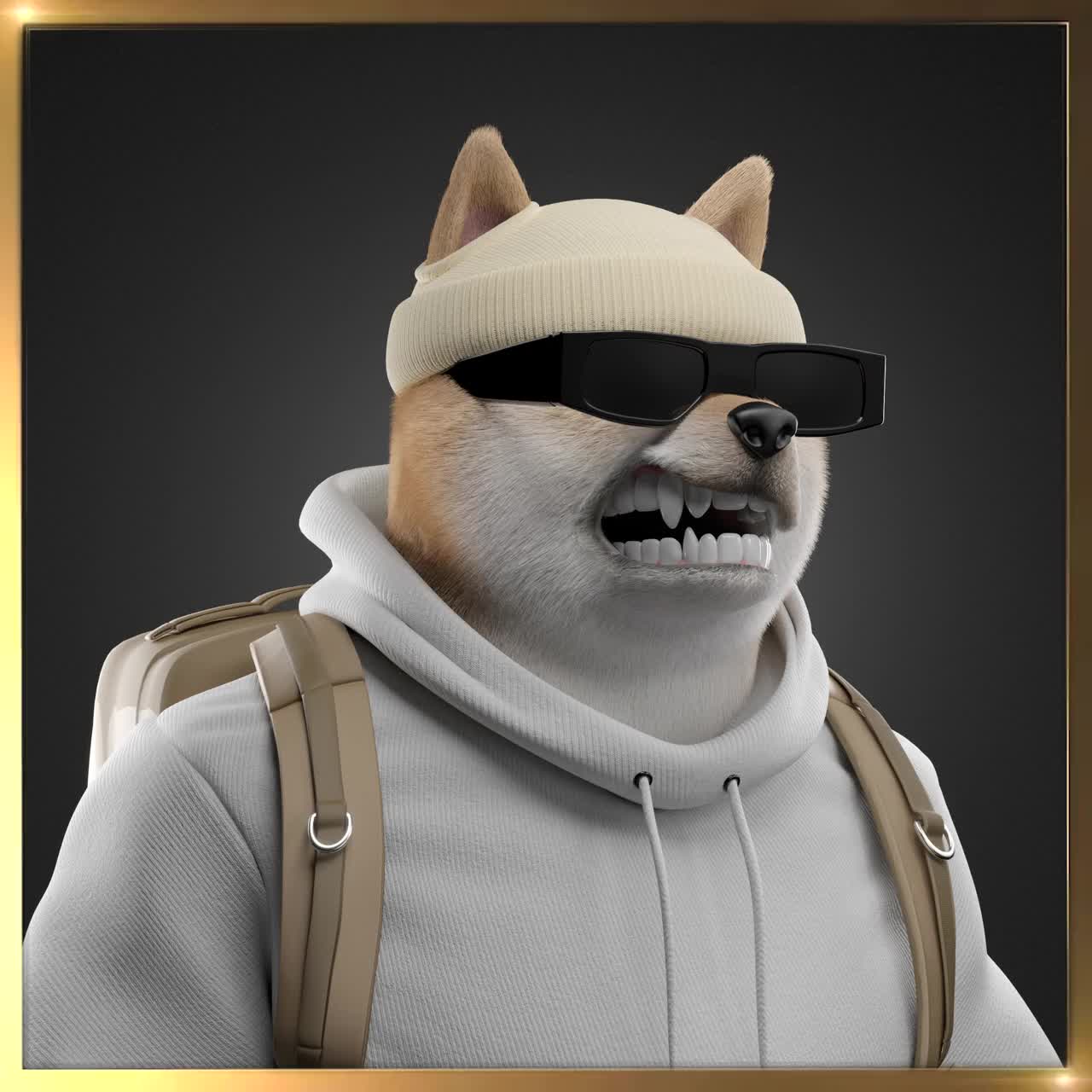 Shiba #6097