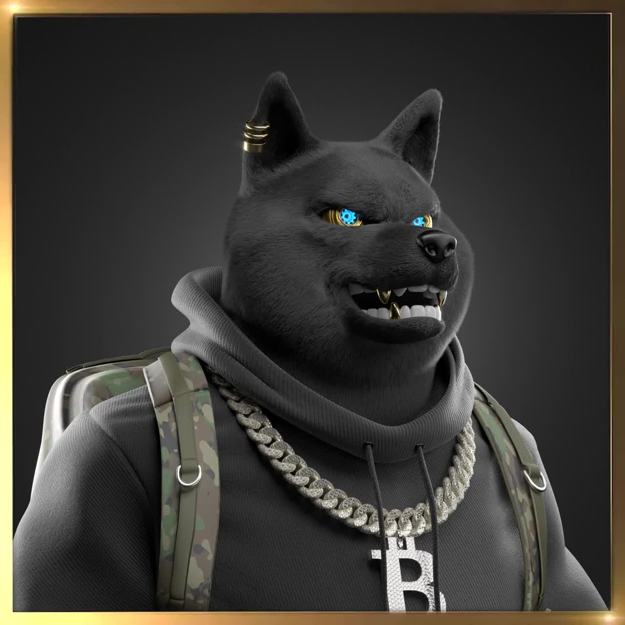 Shiba #6105
