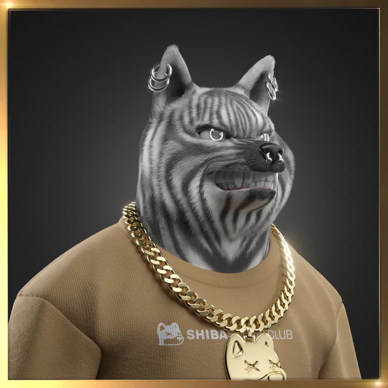Shiba #6124