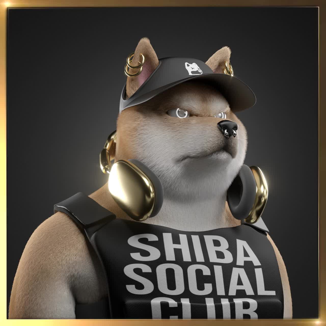 Shiba #6125