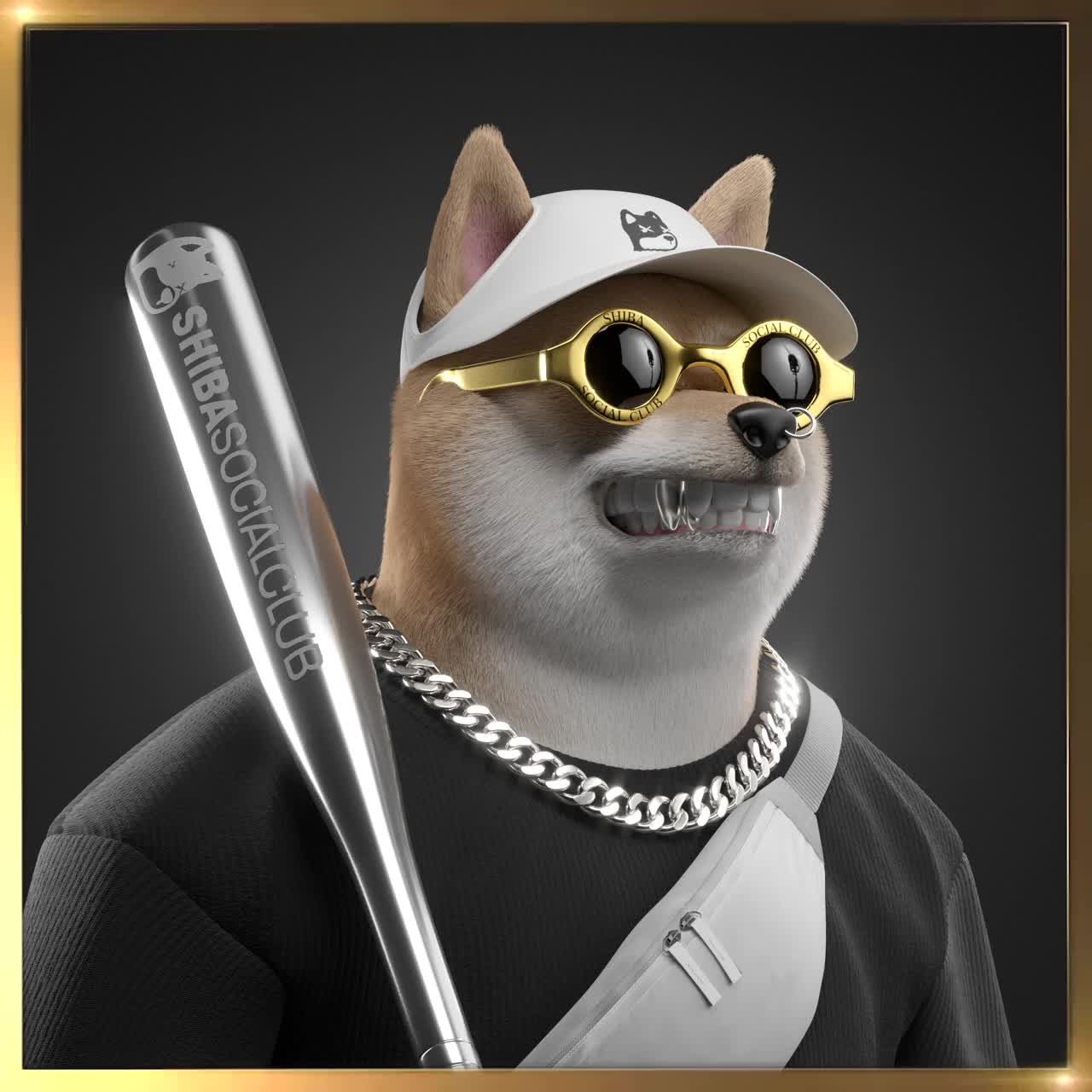 Shiba #6163