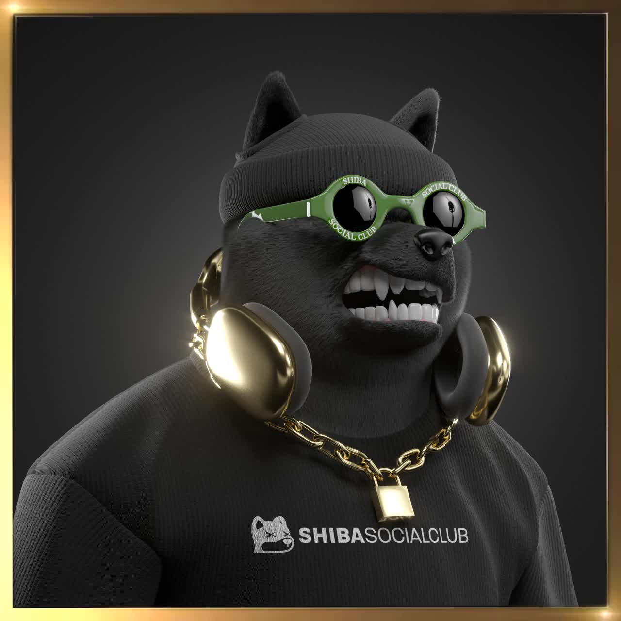 Shiba #6186
