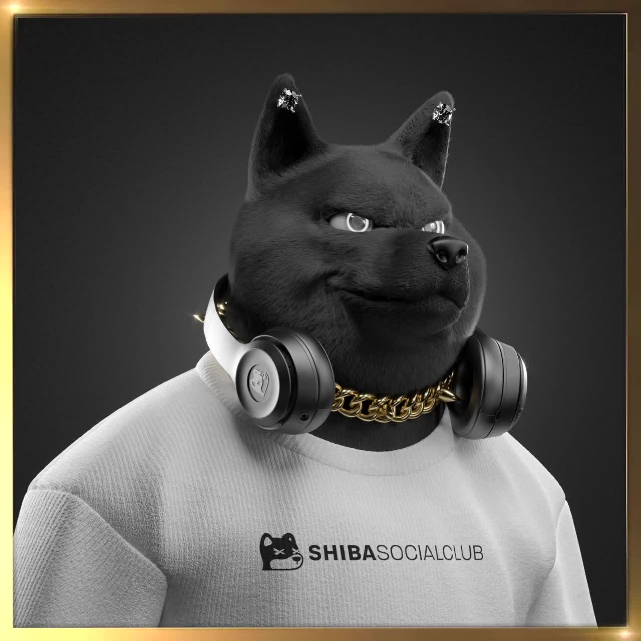 Shiba #6190