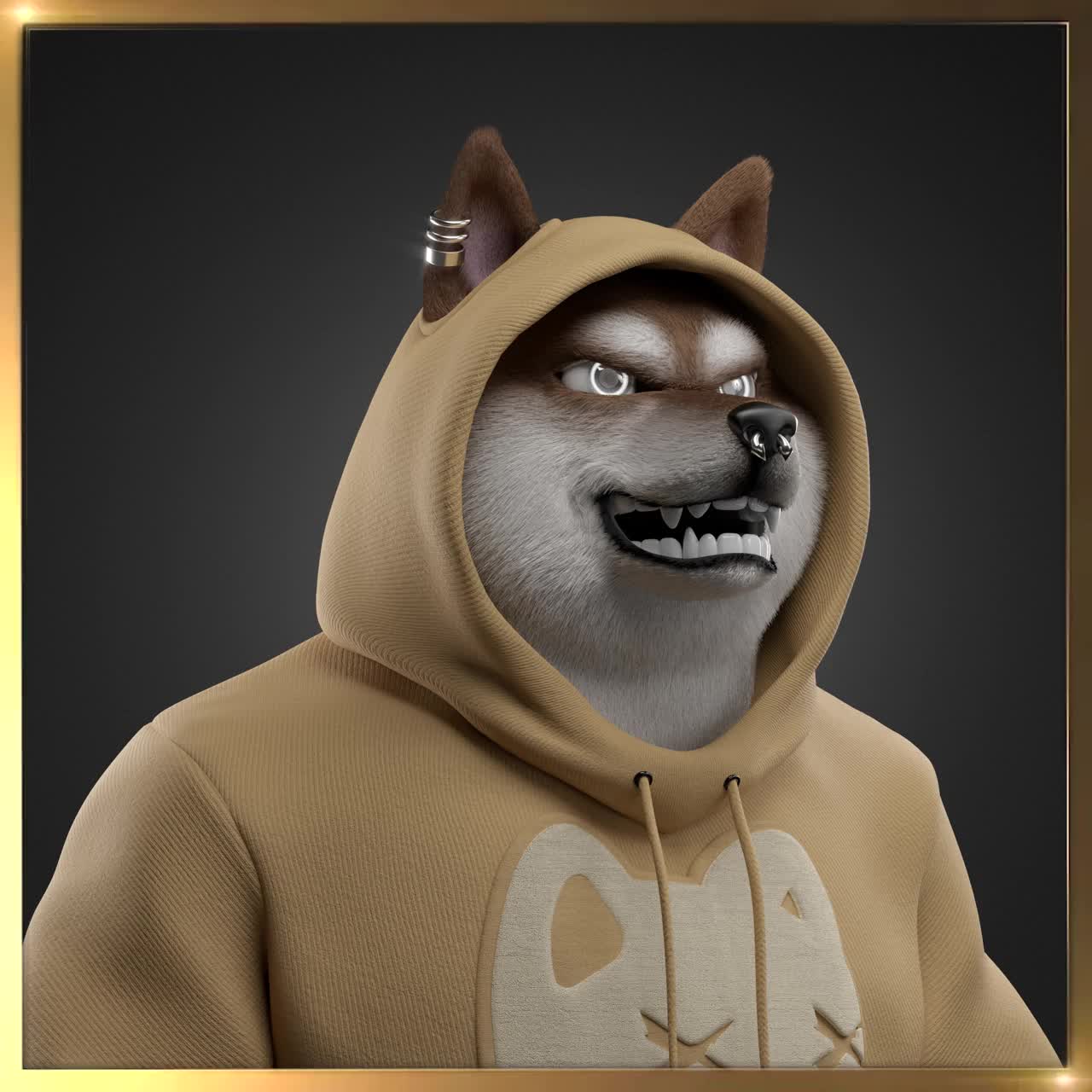 Shiba #6197