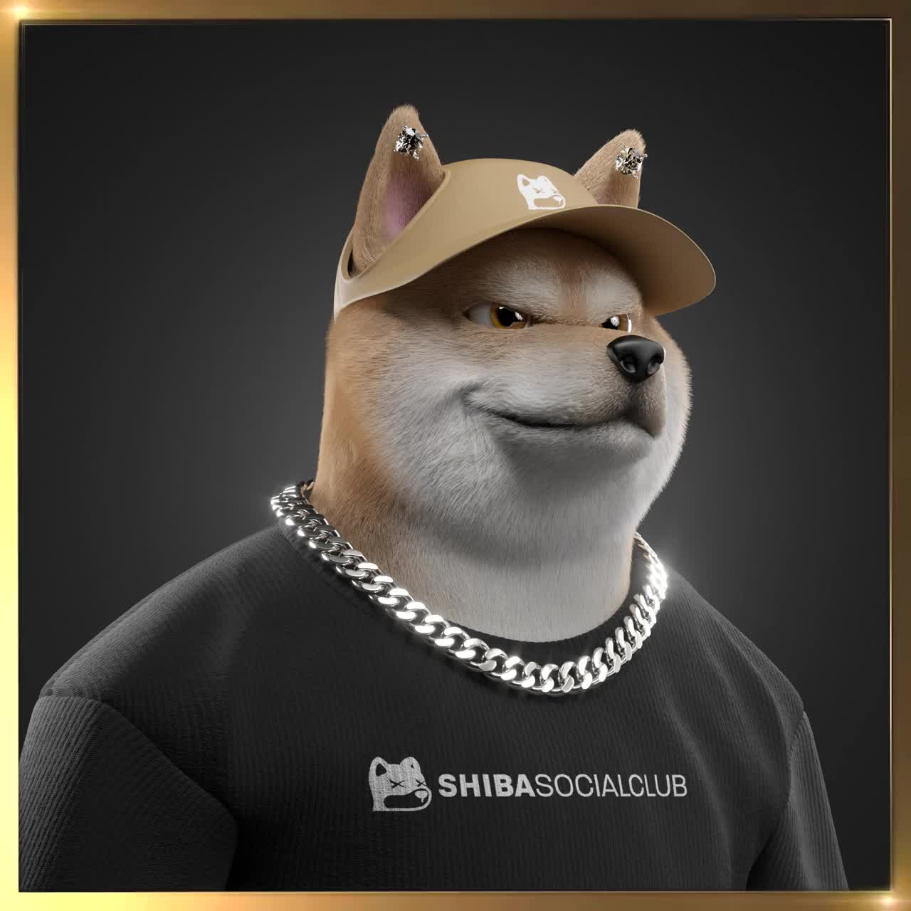 Shiba #6211