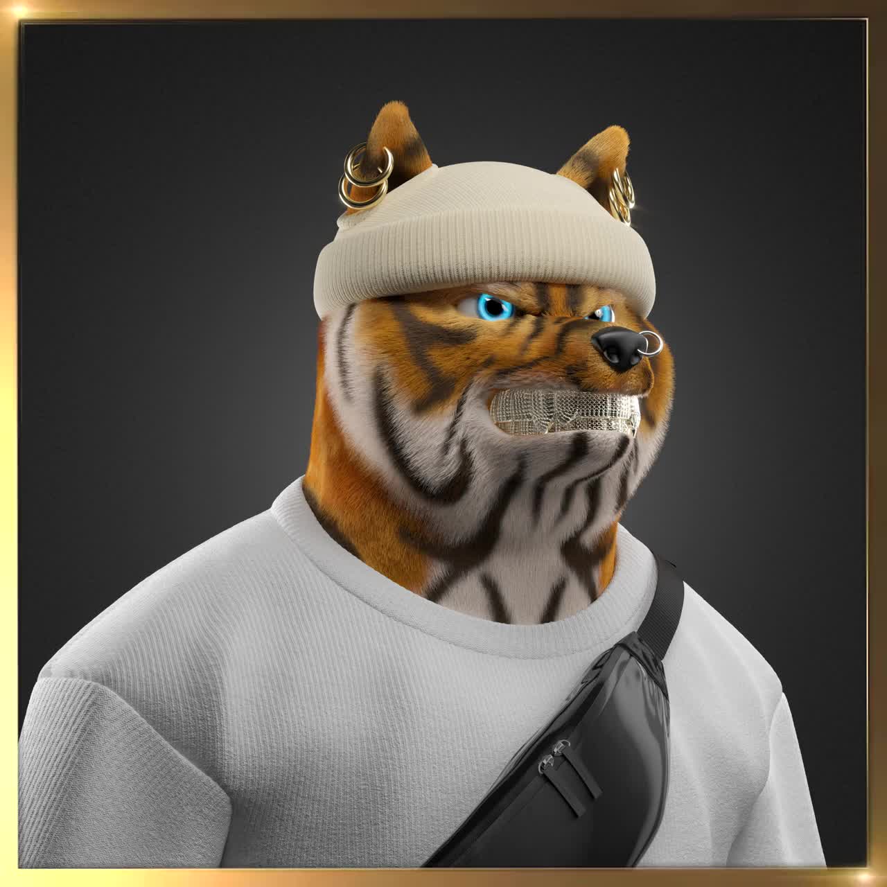 Shiba #6241