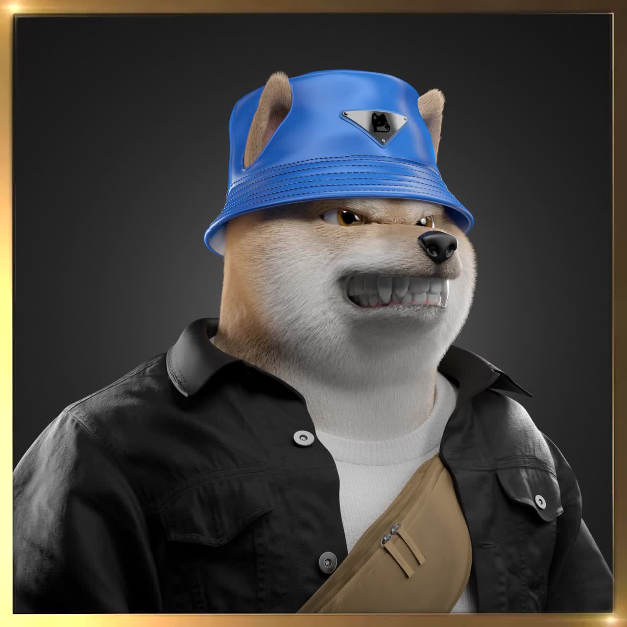 Shiba #6247