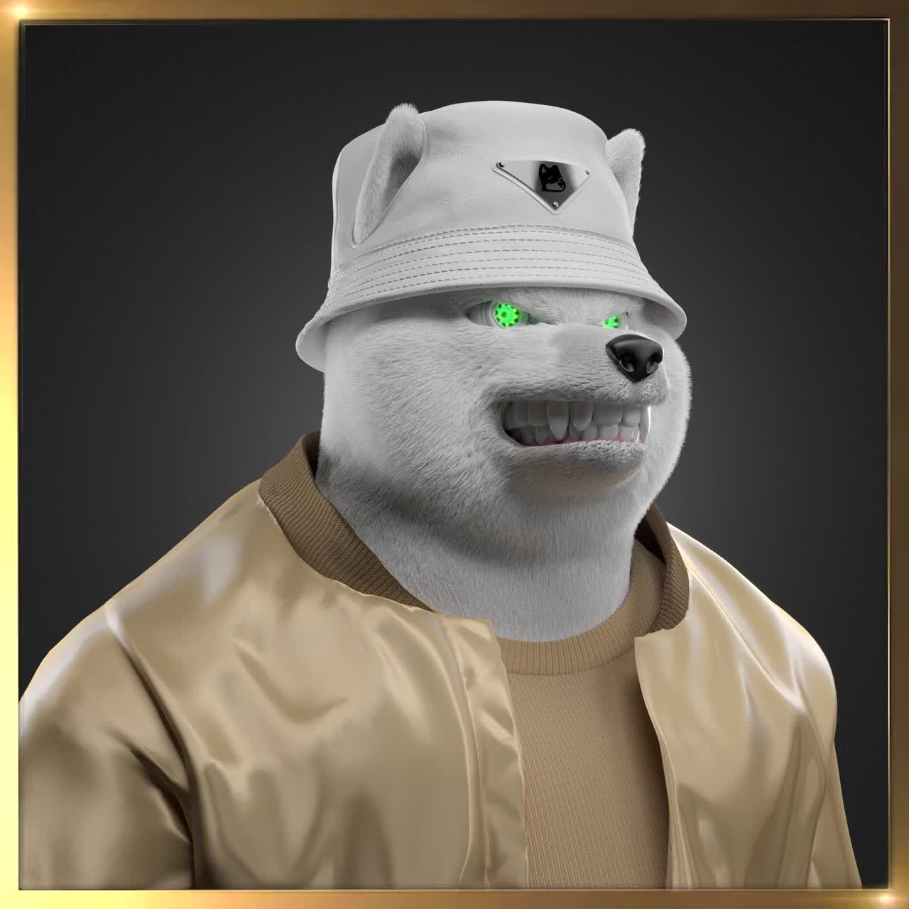 Shiba #6255